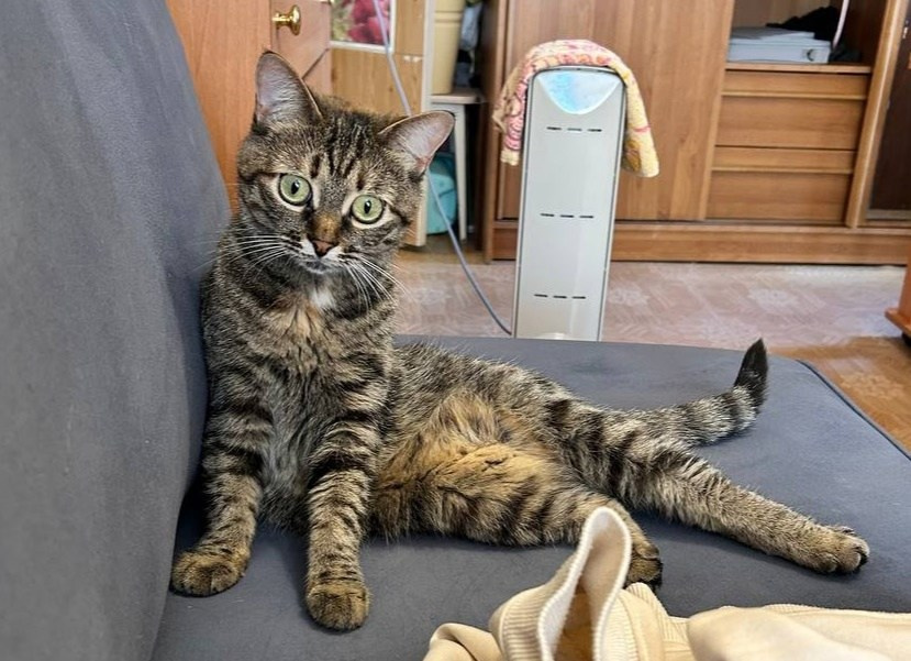 Читальный зал. Марина Рыбкина — Глубинная психология