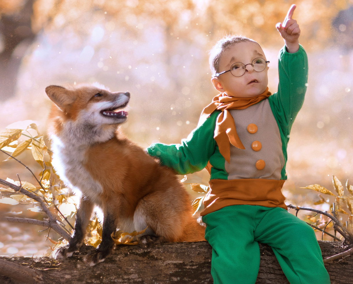 Стоимость аренды животных. Фотограф Лия Милк | Москва, Подмосковье