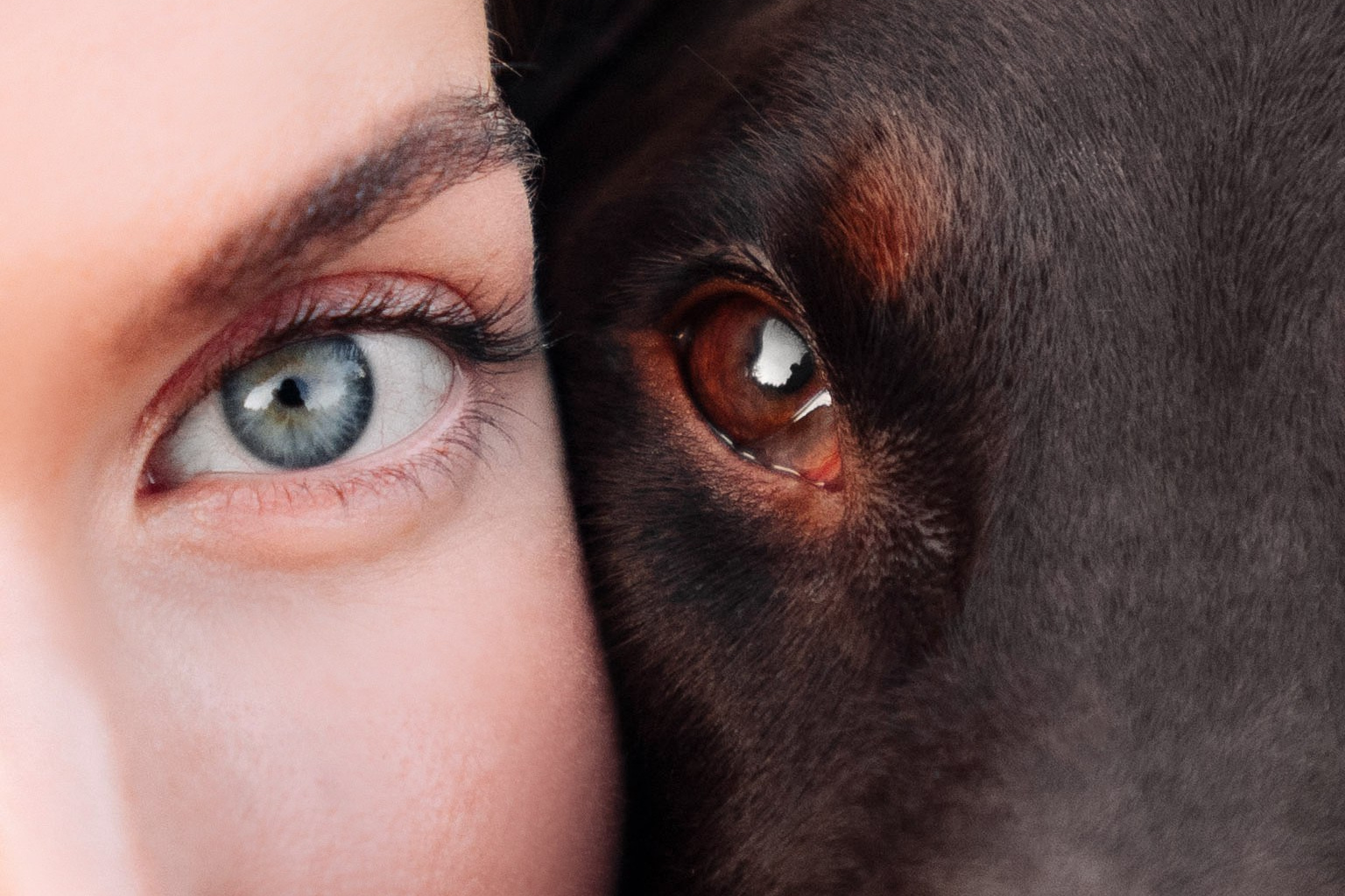 Услуги. Фотограф — анималист Саратов/Москва|Плужникова Юлия