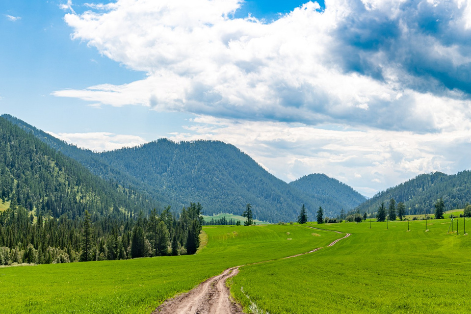 Плато Укок. Gennady Travel