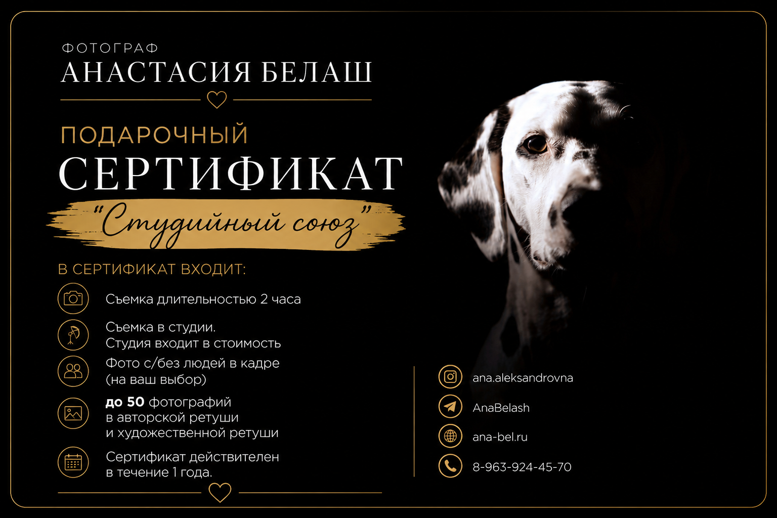 Подарочные сертификаты фотограф-анималист Анастасия Белаш. Анастасия Белаш