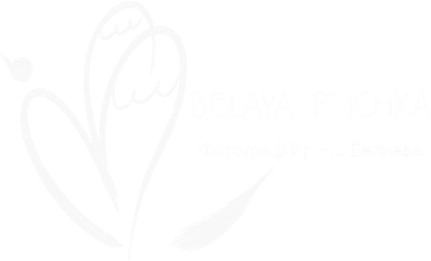 belaya-ptichka.ru