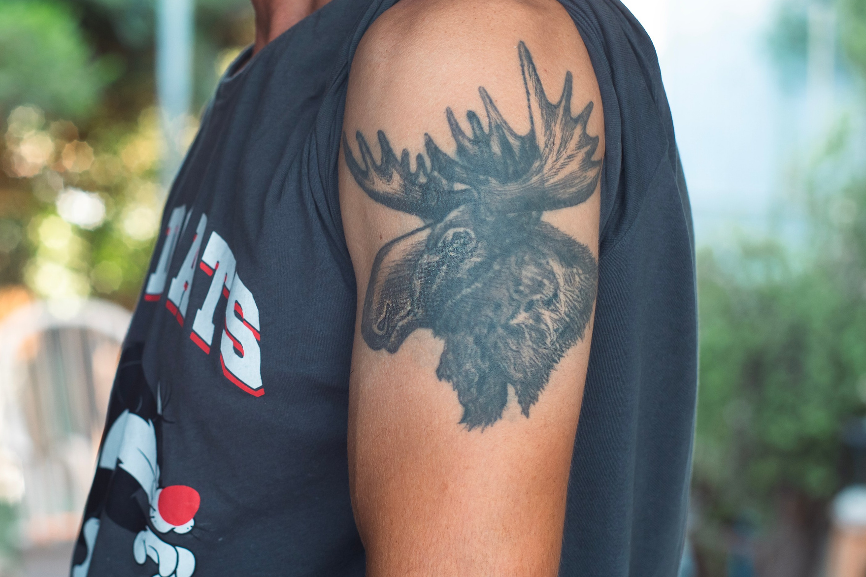 Другие работы. Художница Маргарита Гусак