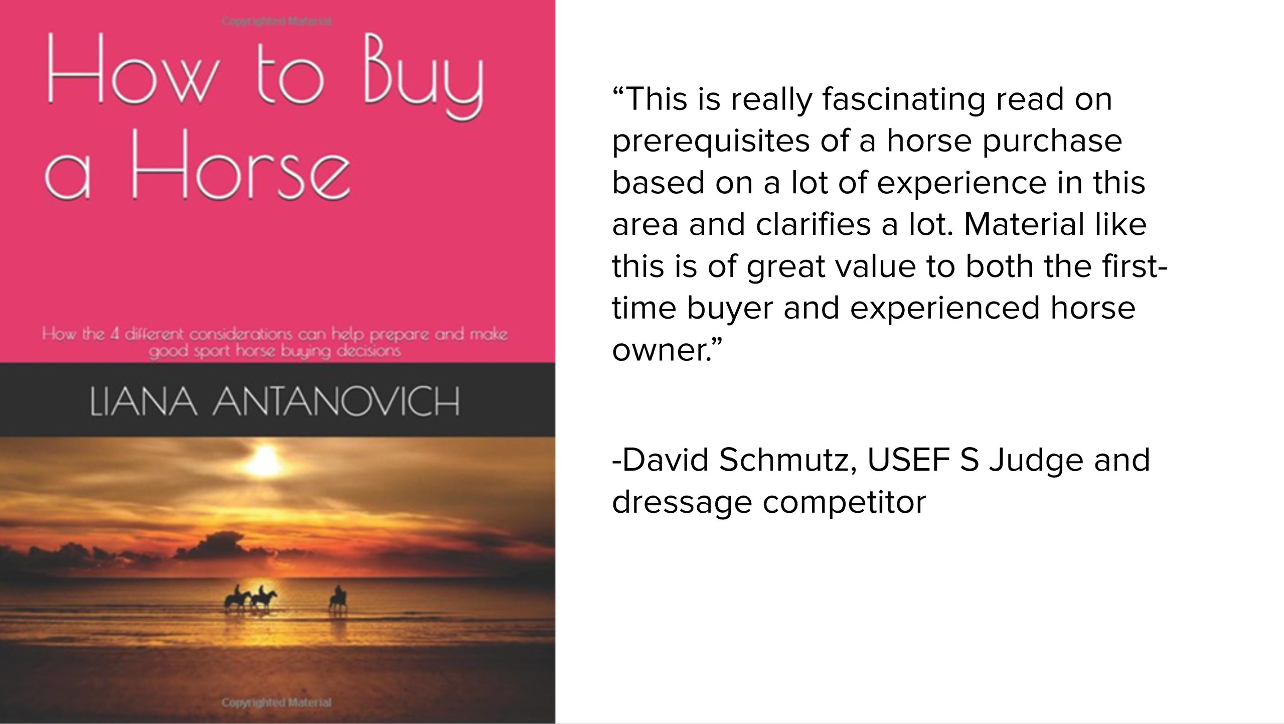 How to acquire a horse into your rein