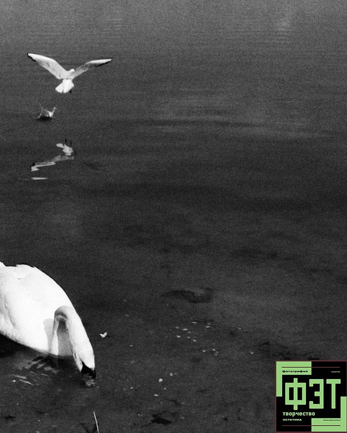 Наталья Переверзева