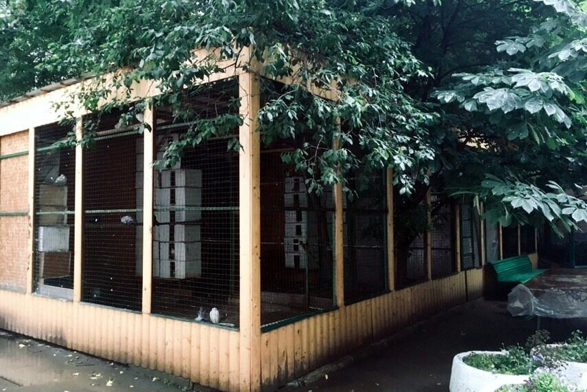 Секретные дворики Москвы. Фото Радости. Свадебный и семейный фотограф в Москве Юлия Самойлова