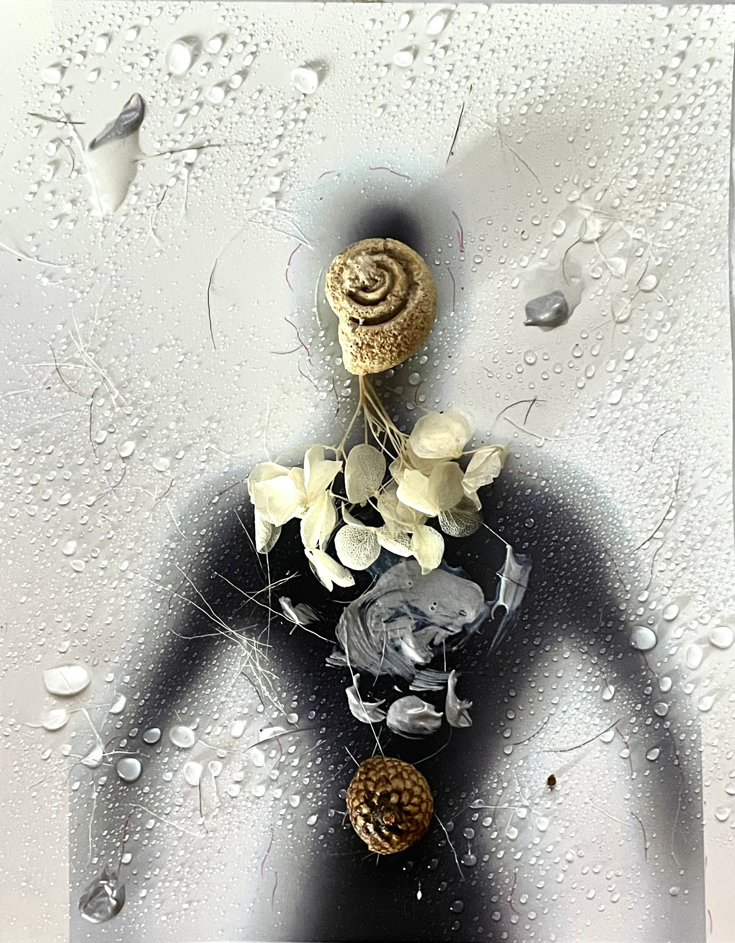 Коллажи. Визуальный художник Лиана Даренская, Москва