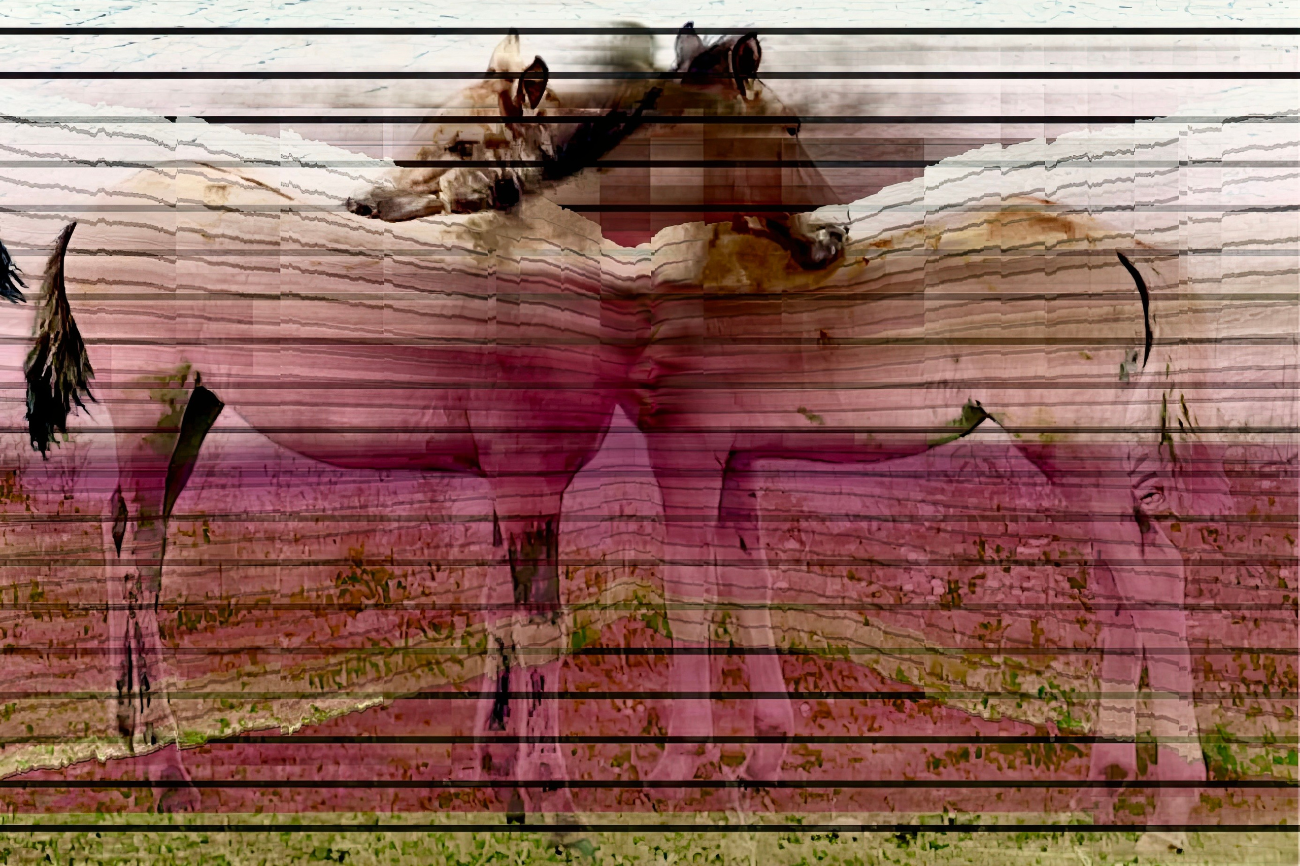 Серия арт композиций, метафора на традиционный башкирский рушник, вышивка орнаментов и узоров. MEMORY in NATURE | digital art gallery