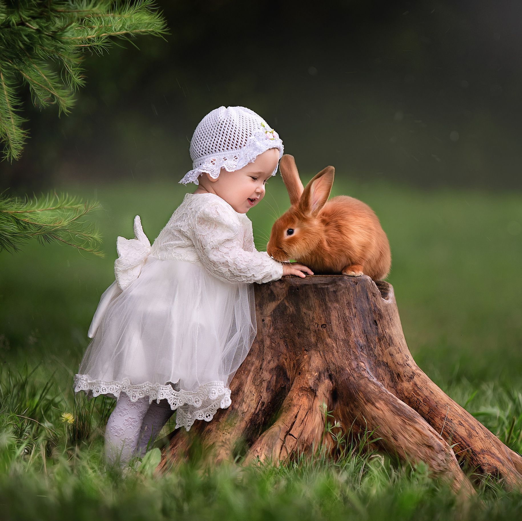 Татьяна Кам Арт - фотограф Ангарска