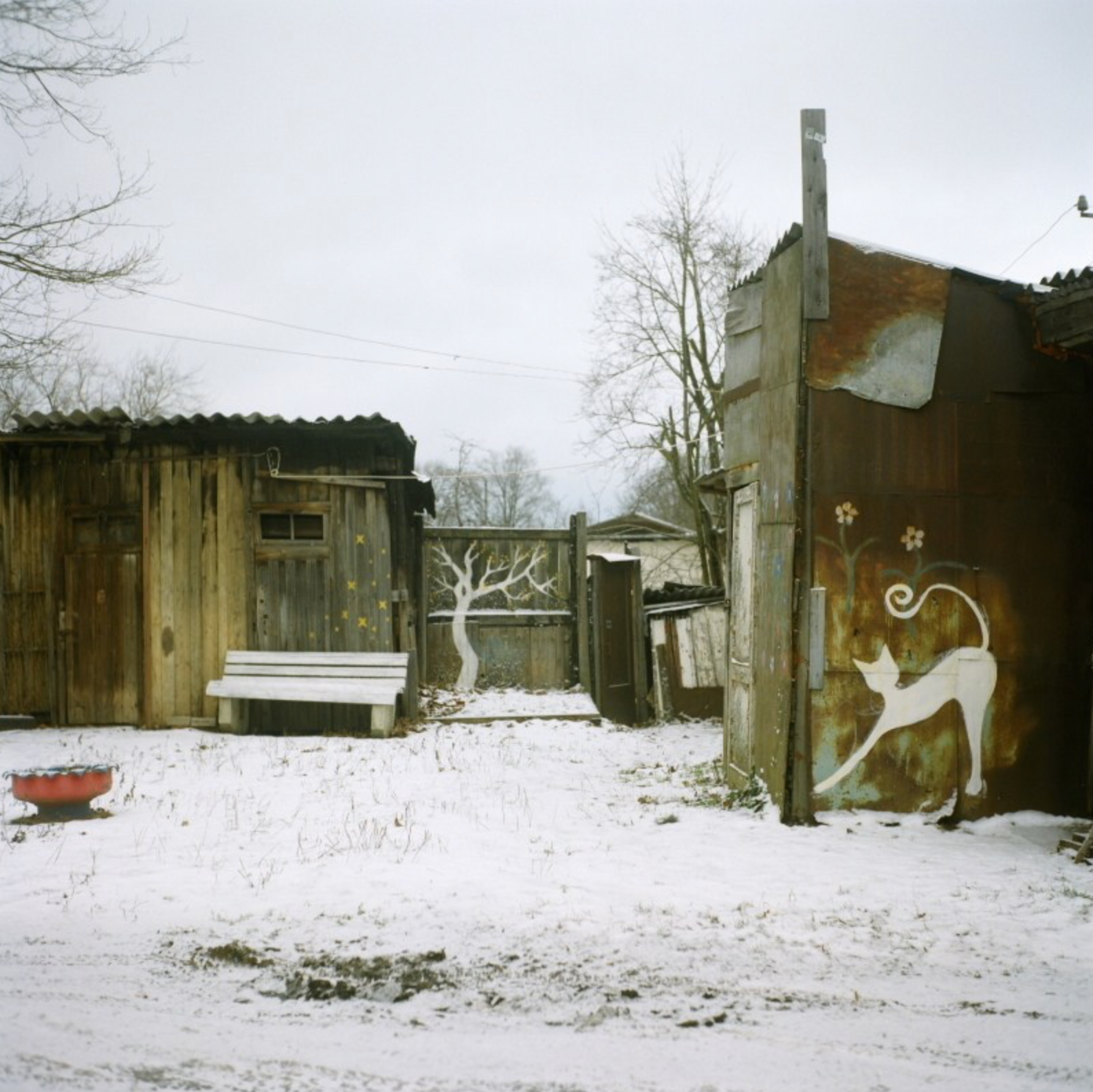 Интенсив «У каждого свои 6 км». «ФотоСинтез»