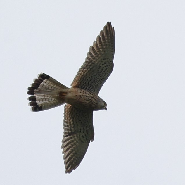 Большой уикенд. Суббота