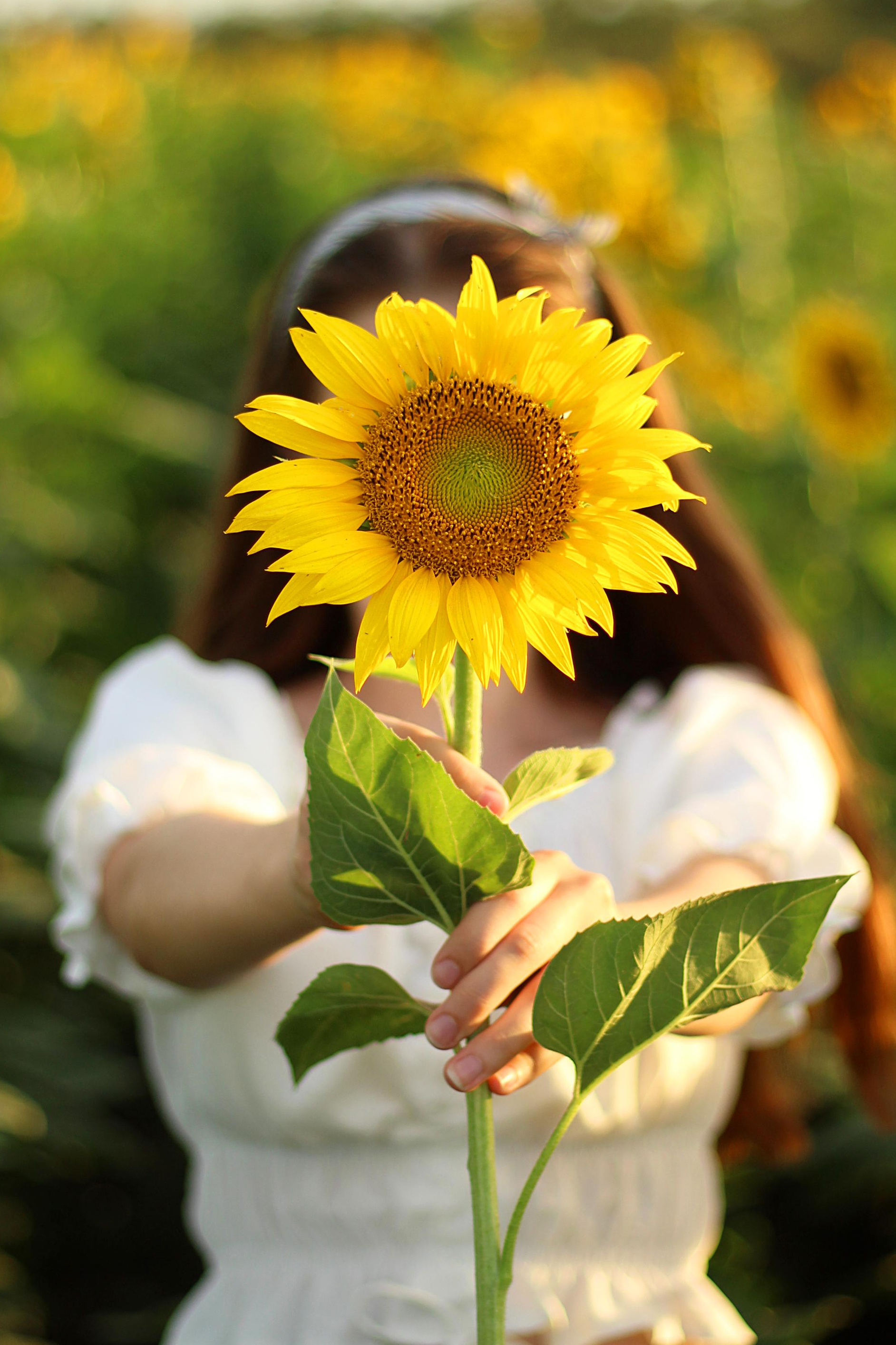 Услуги. Семейный и детский фотограф Виктория Умаева