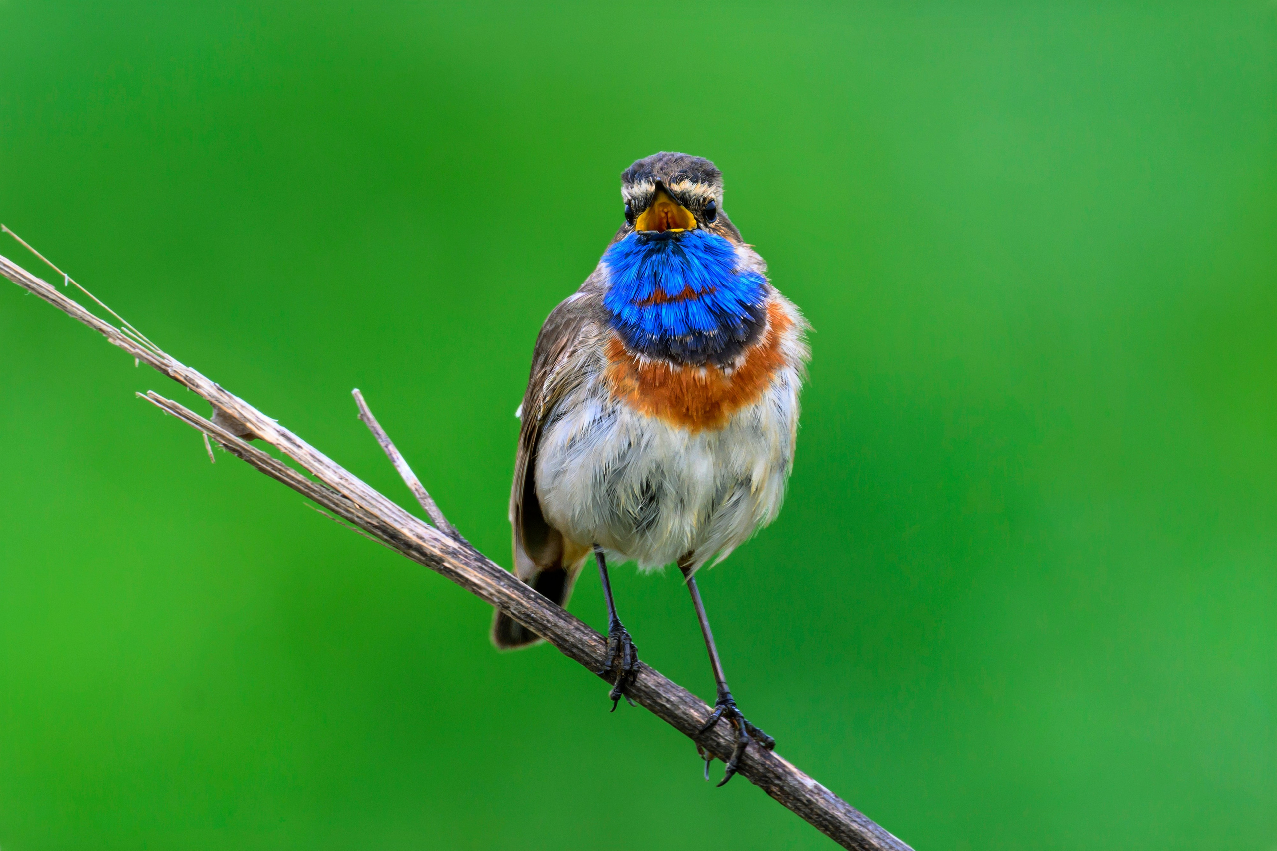 Ждем хорошую погоду. Фотограф Сергей Пупонин