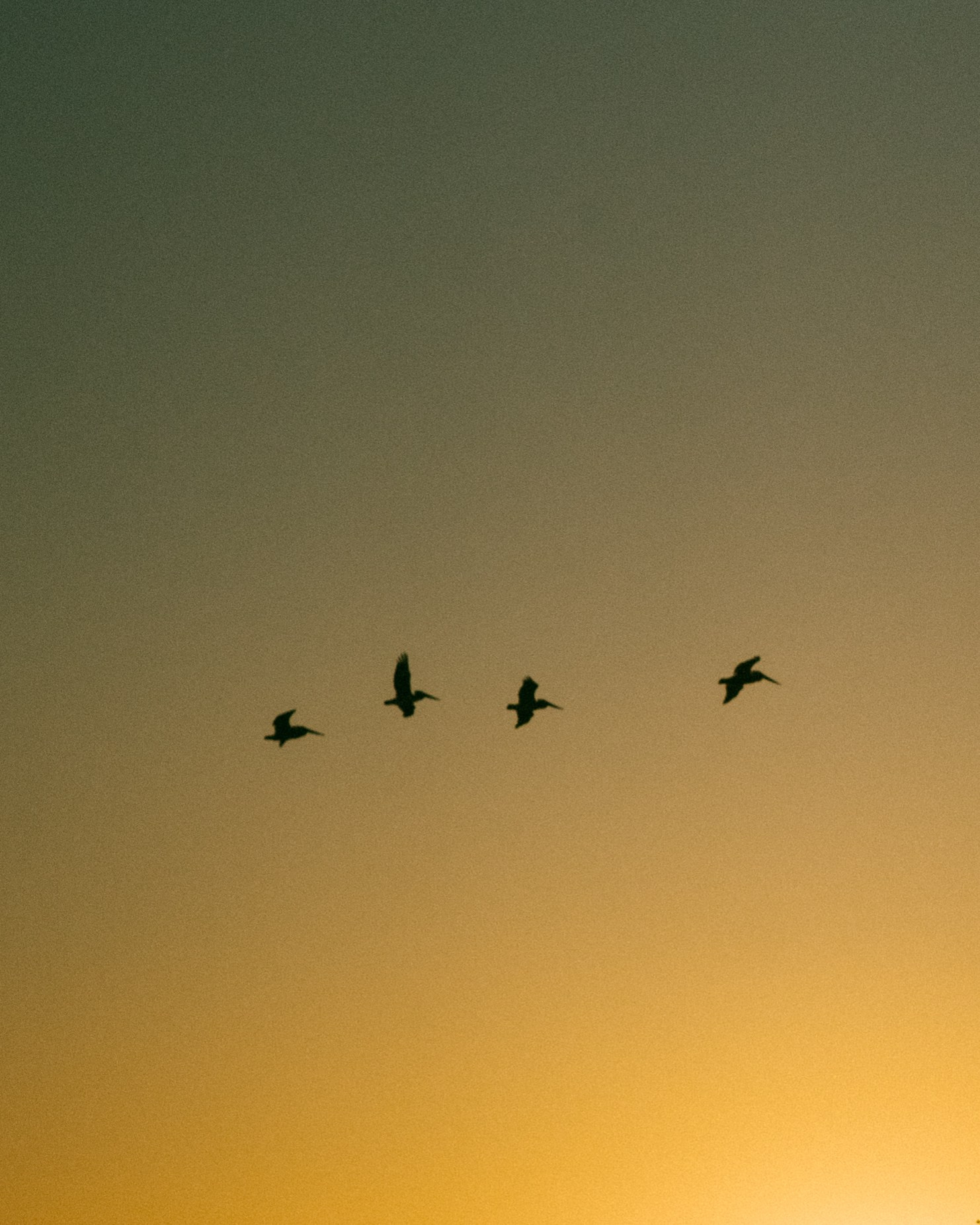 PRINT. Art Photographer Anastasiia Maiskaya