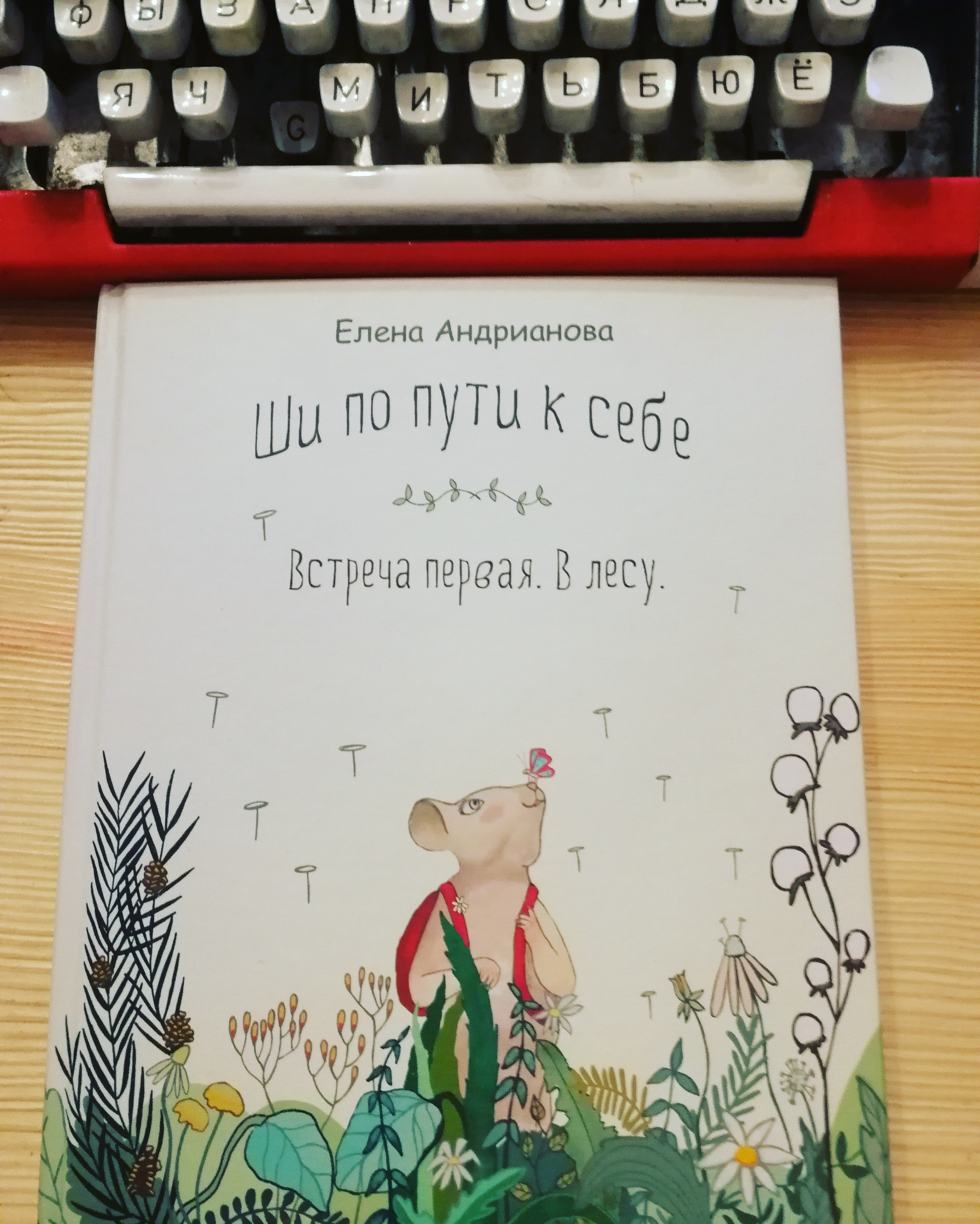 Лэндинг Ши