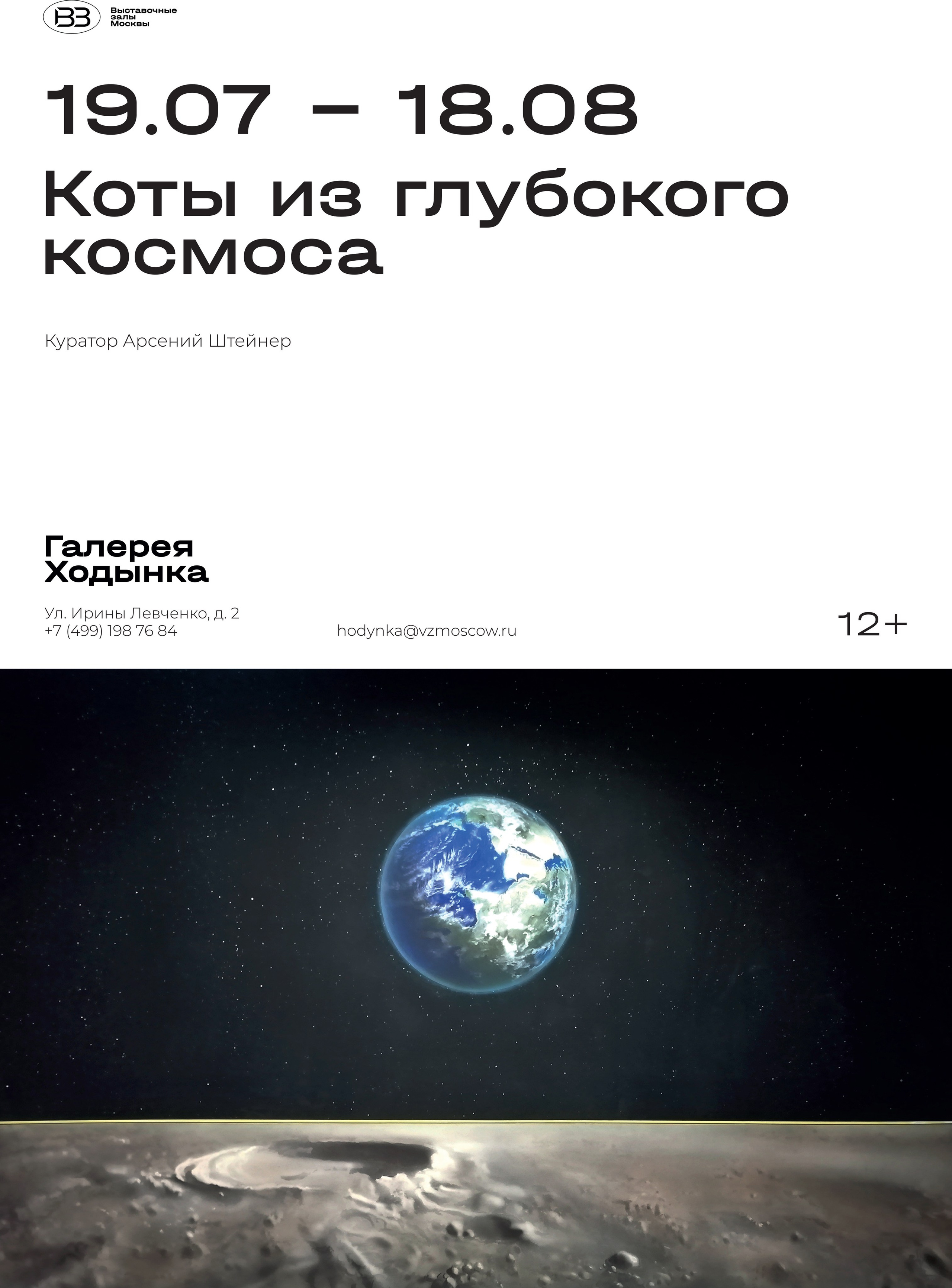 Коты из глубокого космоса галерея Ходынка