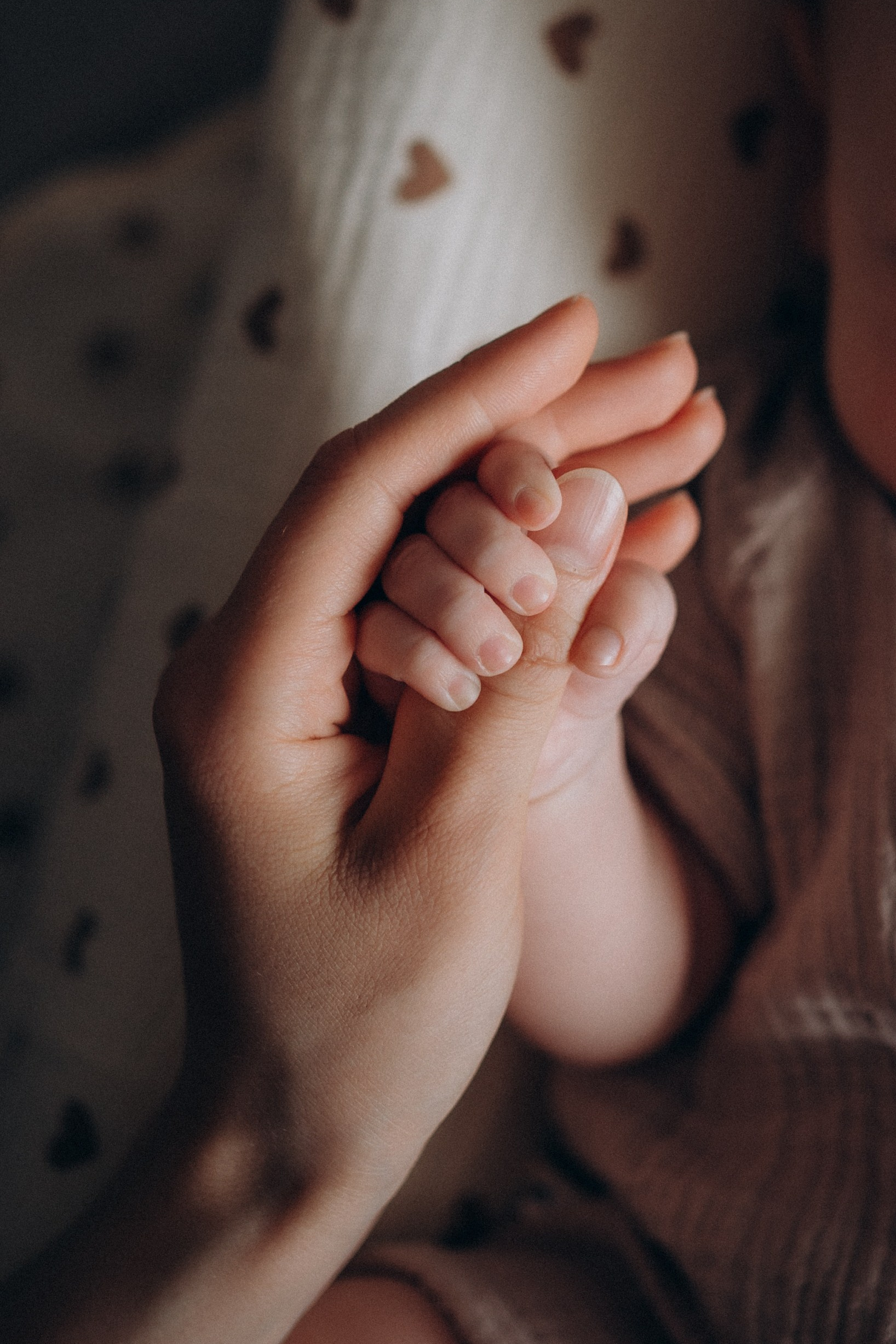 Услуги. Домашний фотограф малышей с рождения в Екатеринбурге Алёна Макаренко