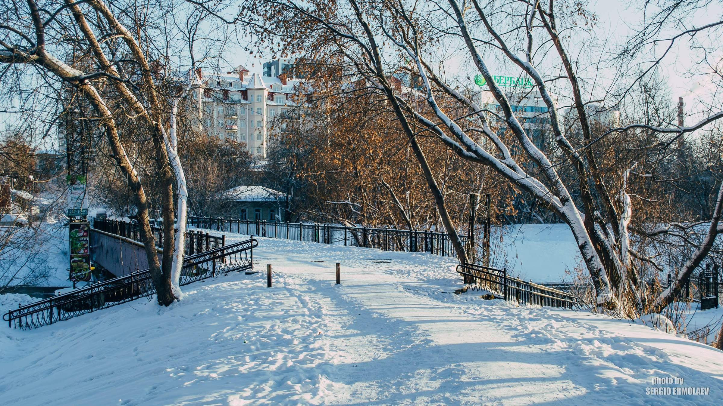 Пешеходный мост Дендропарка и его окрестности