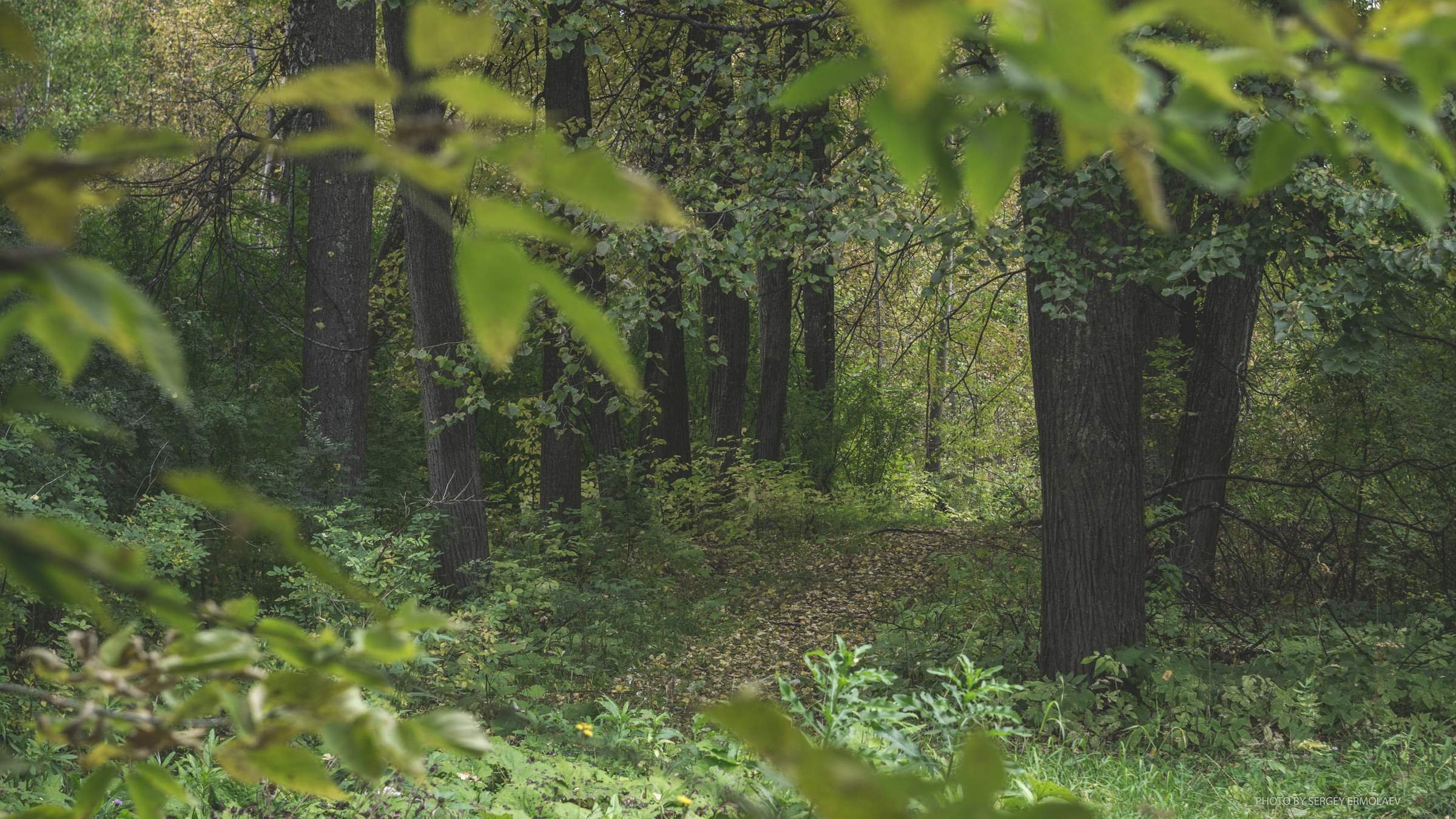 На тропах старинного парка