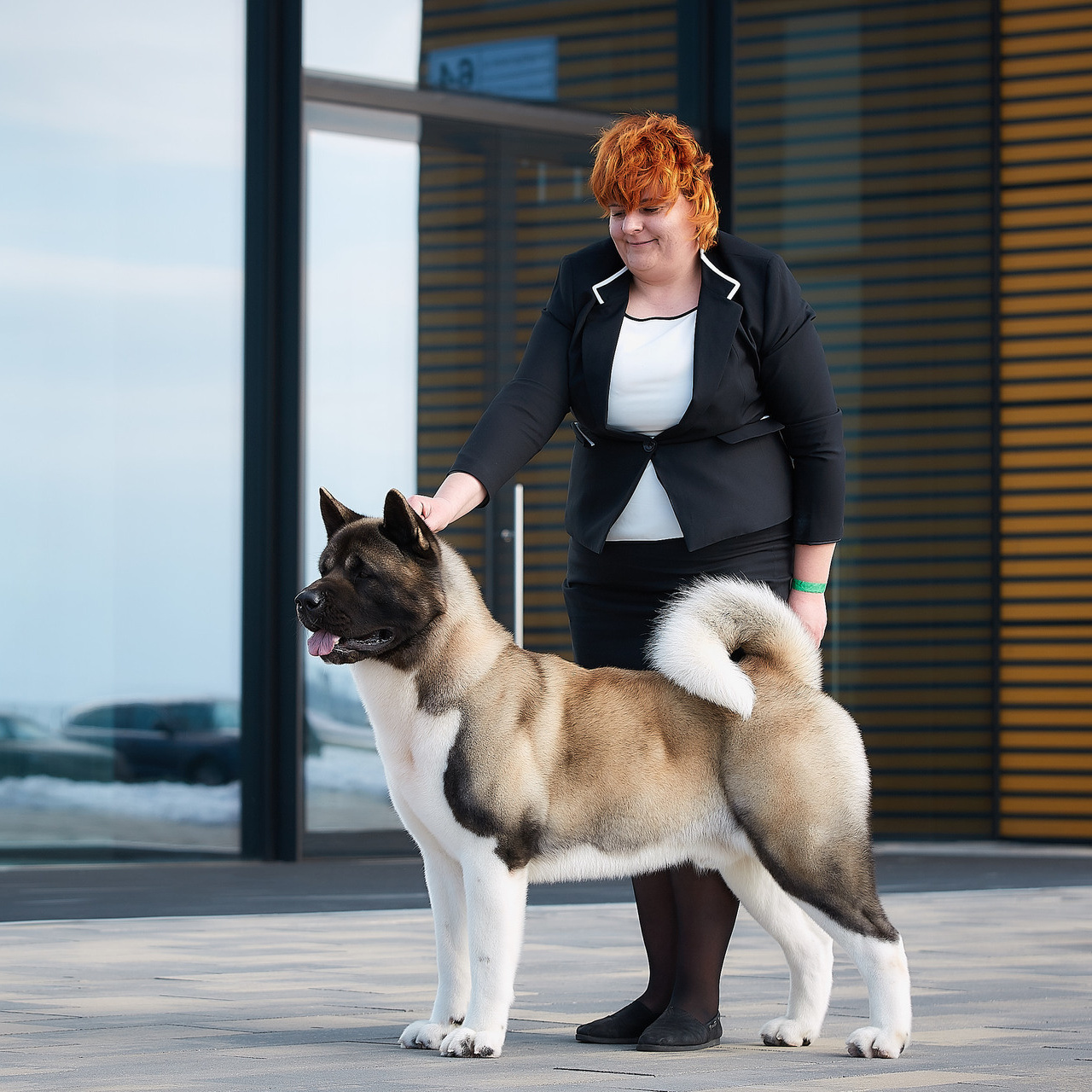 ФОТО ВЫСТАВКИ. ФОТОГРАФ-АНИМАЛИСТ l LANA POLYAKOVA