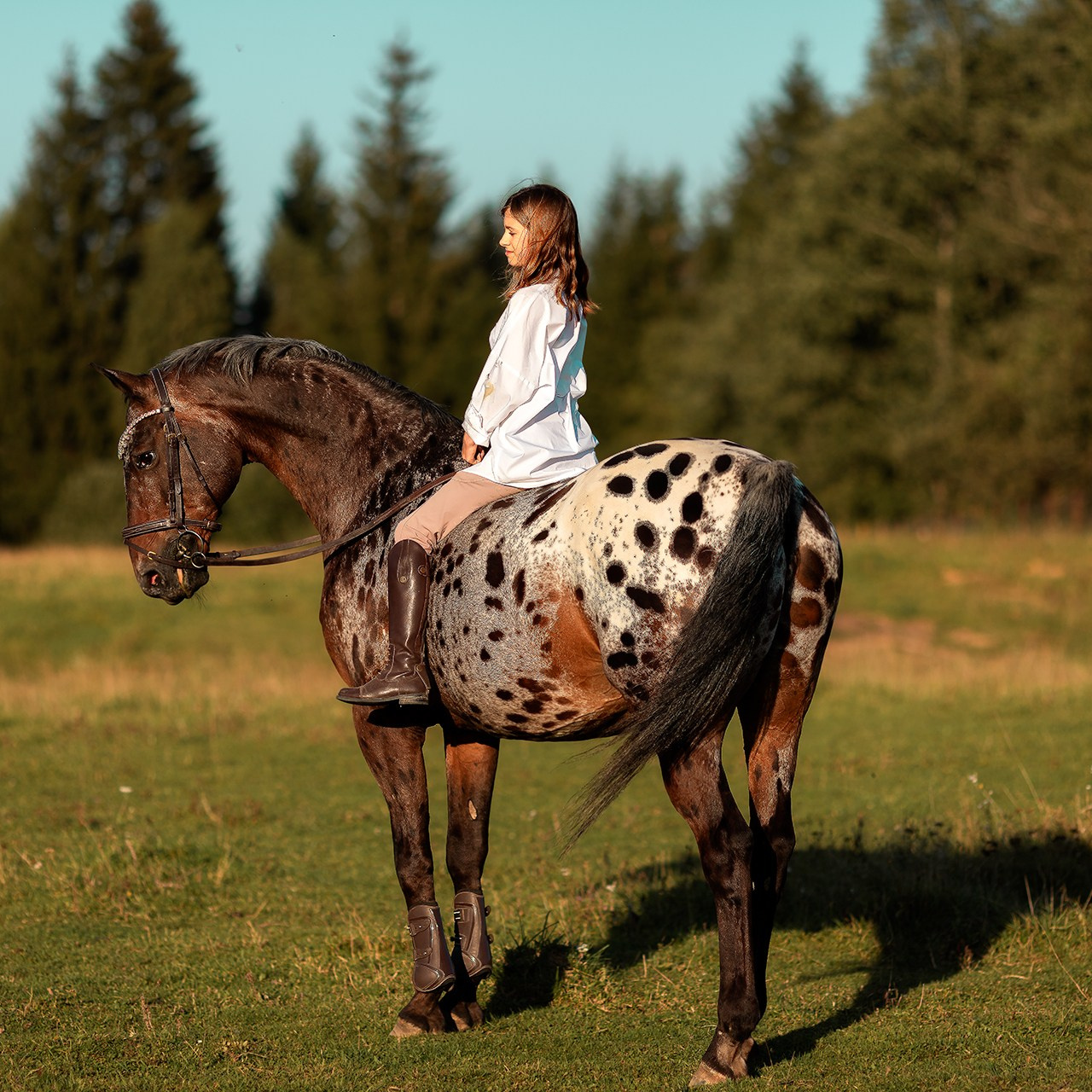 Фотосессия детей с лошадьми в Москве и МО: Детская конная фотография от Светланы Кутейниковой. Фотосессии с лошадьми в Москве от Конный фотографа Кутейниковой Светланы