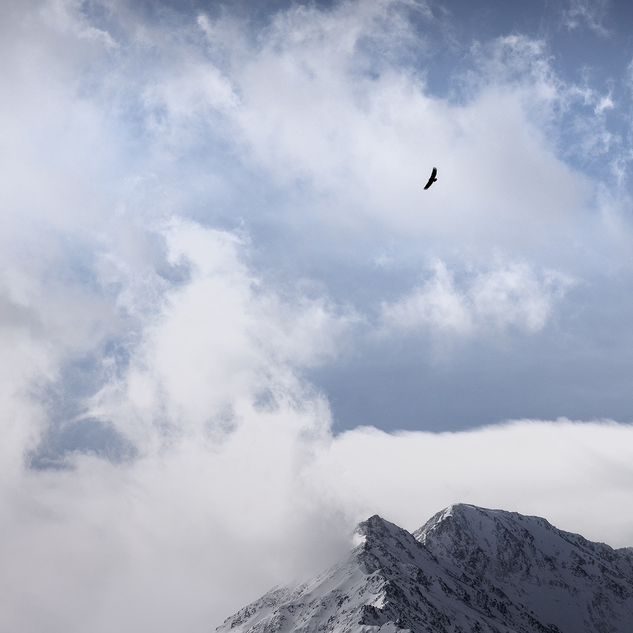 Экспедиция по Цумадинскому району и югу Дагестана 21.03.26 — 29.03.26. Дмитрий Купрацевич профессиональный пейзажный и travel-фотограф