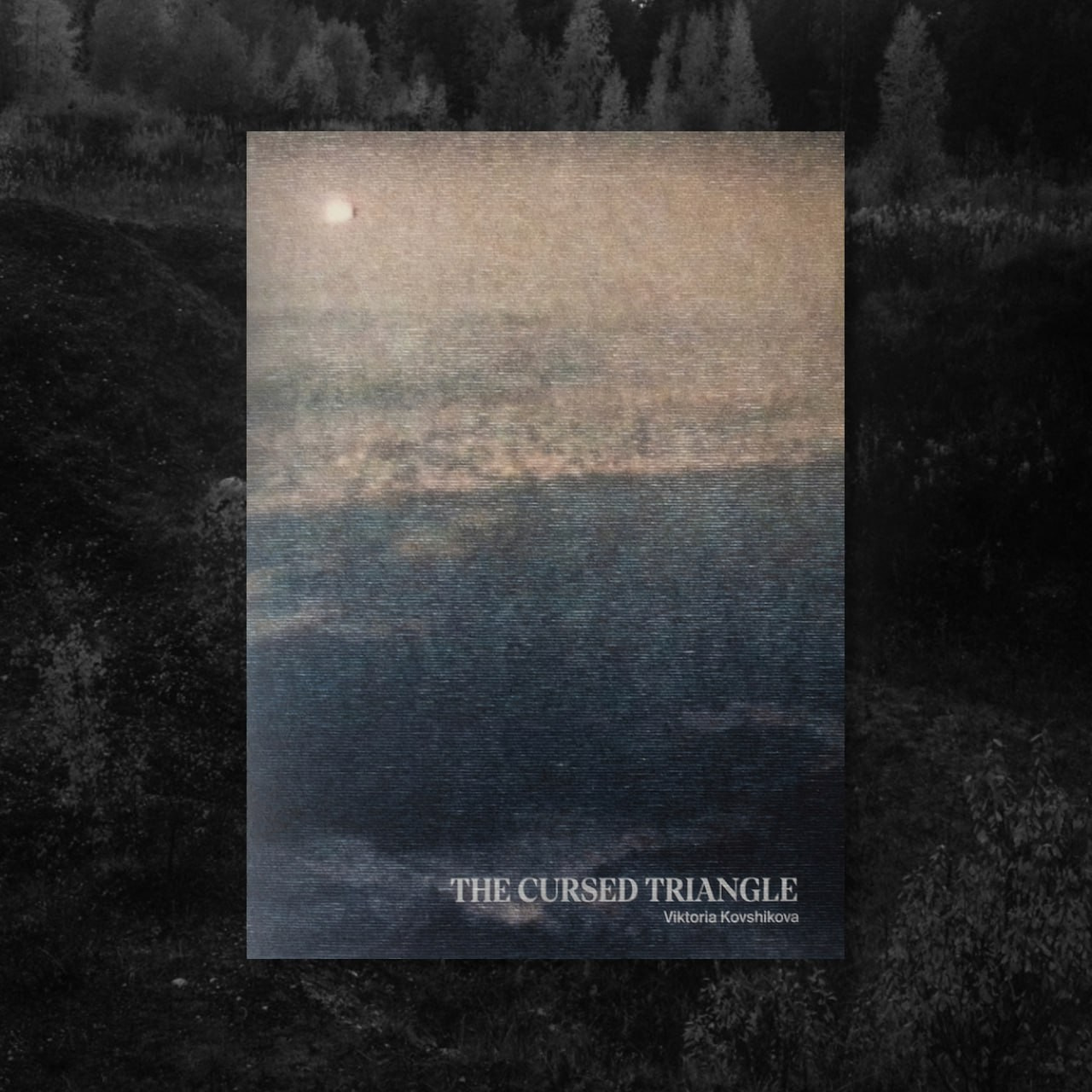 Индивидуальные консультации. Самоорганизация Низина