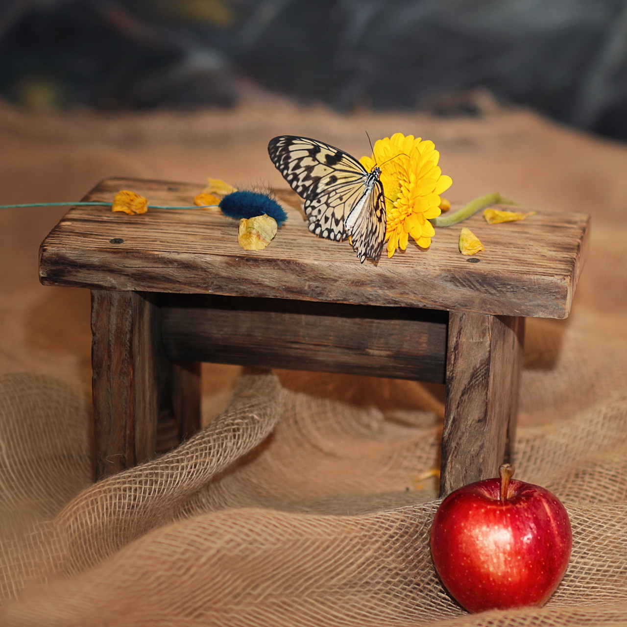 Контакты. Детский и семейный фотограф в Челябинске Костина Наталья