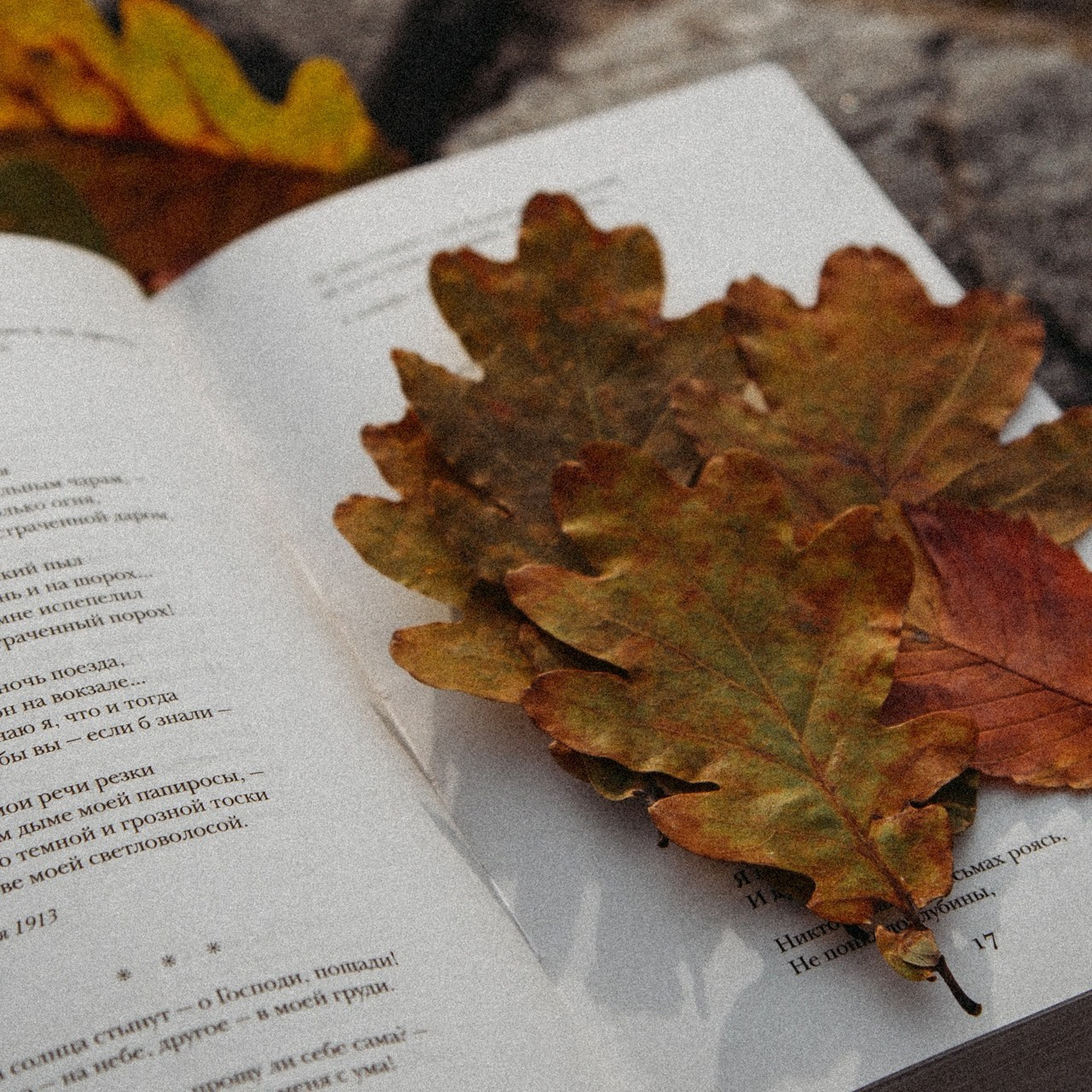 Осенний ноктюрн. Семейный и контент фотограф в Москве Вероника Швец