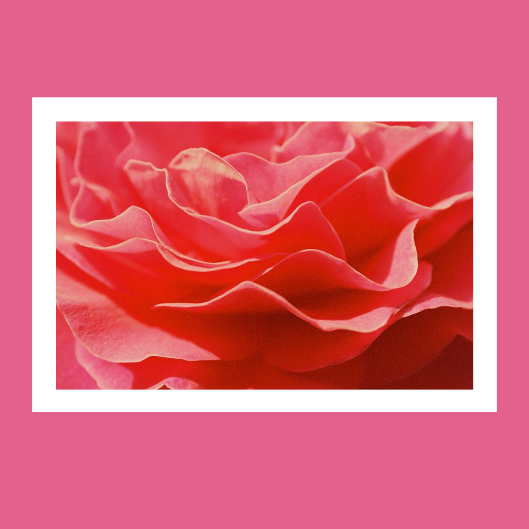 Ассортимент 8 марта