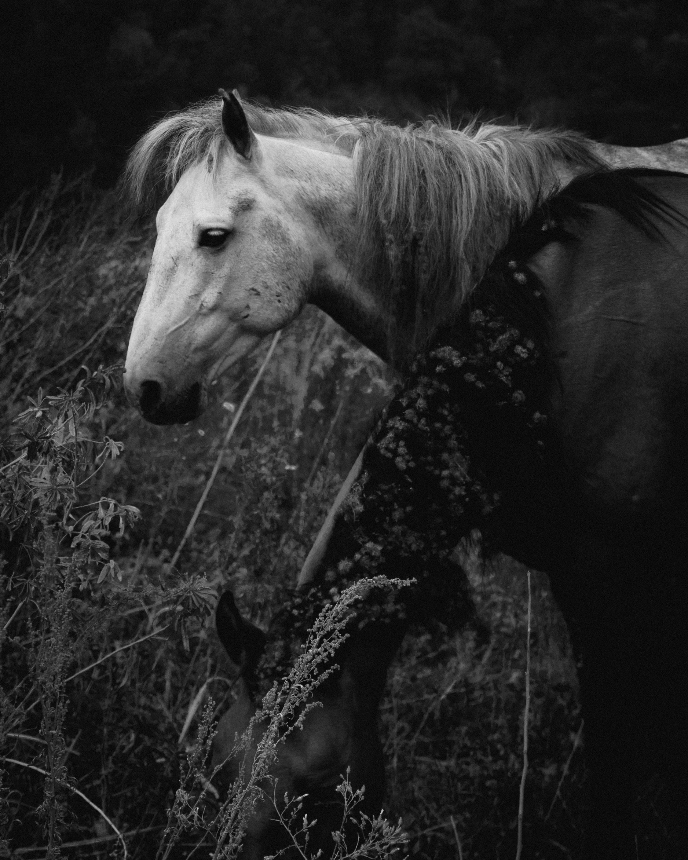 Открытки. Ostryakov Daniil Photographer