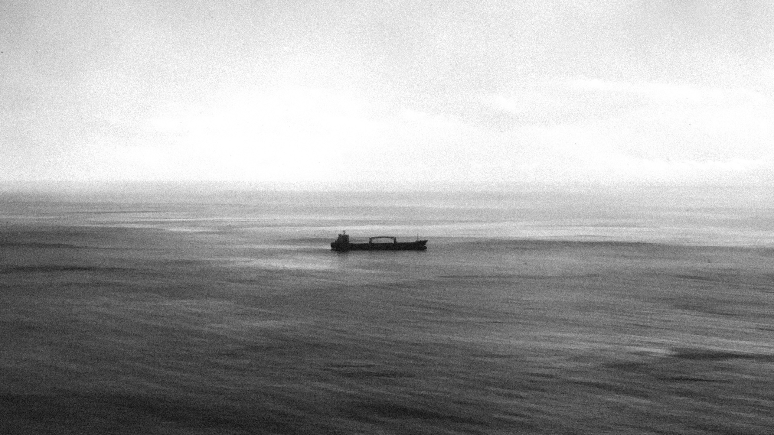 Альхашкина Дарья. Организация фотовыставок в Петербурге и Москве, MFamilia (МФамилия)