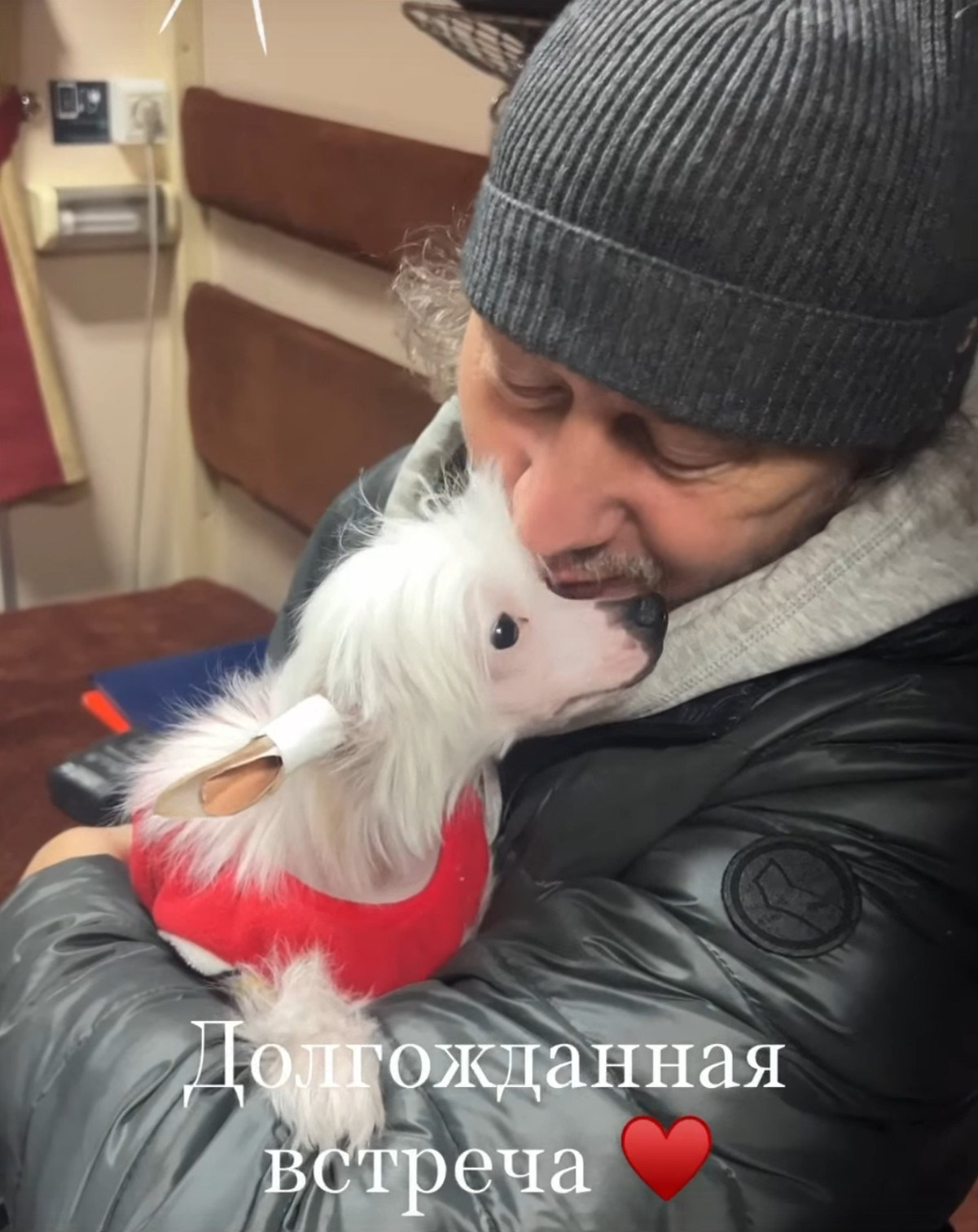 Francis (Laisan Island Francis) — New Home!. Chinese Crested Dog Kennel Poale Ell