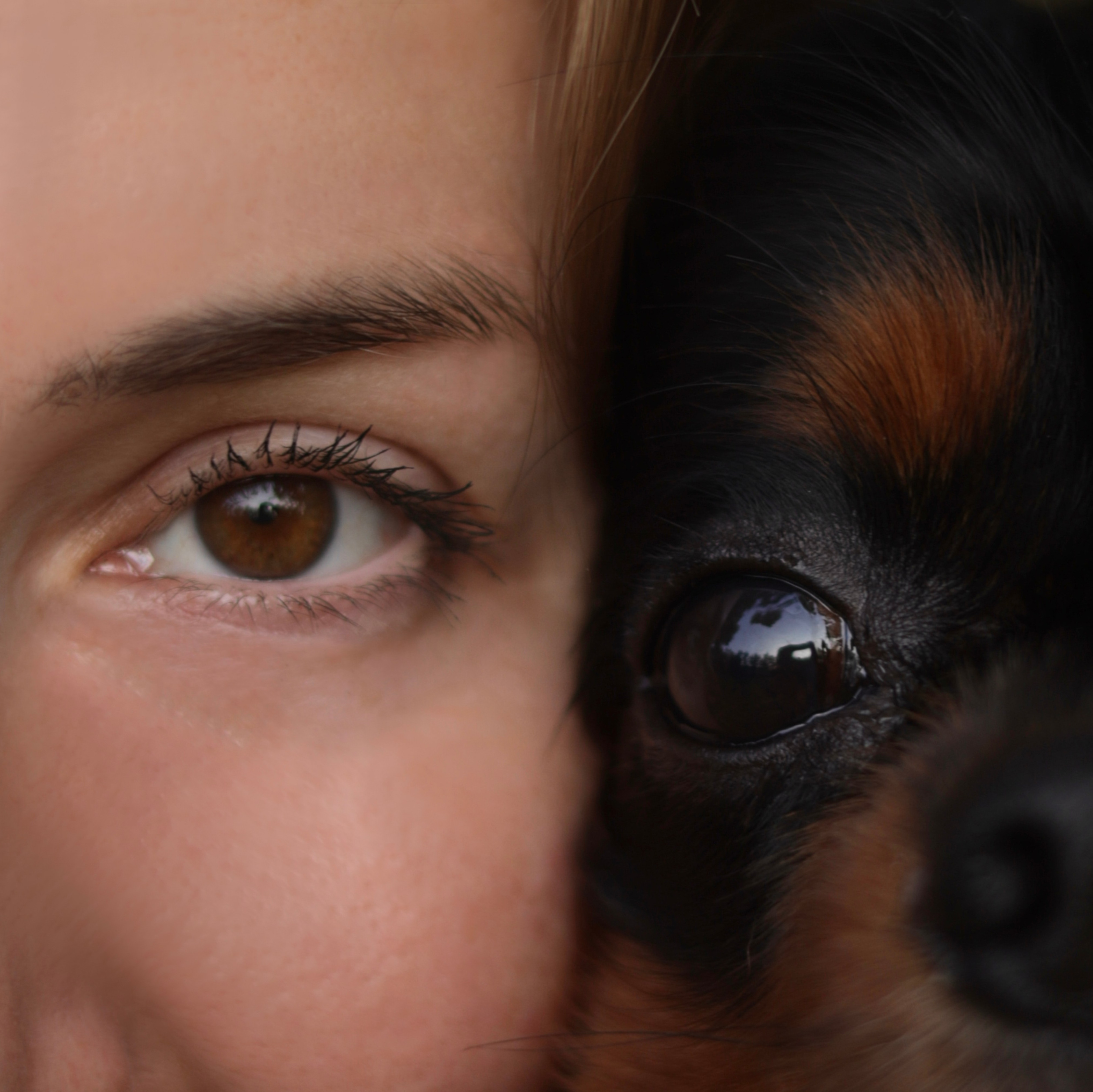 Что я снимаю?. Irina Shulmeister