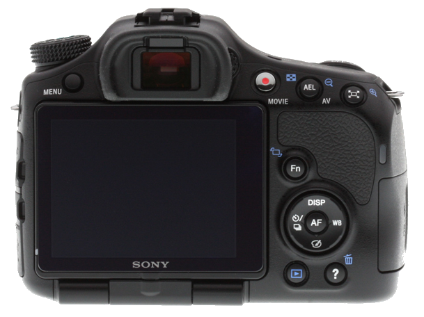 Почему я. Фотограф Антон Никитин