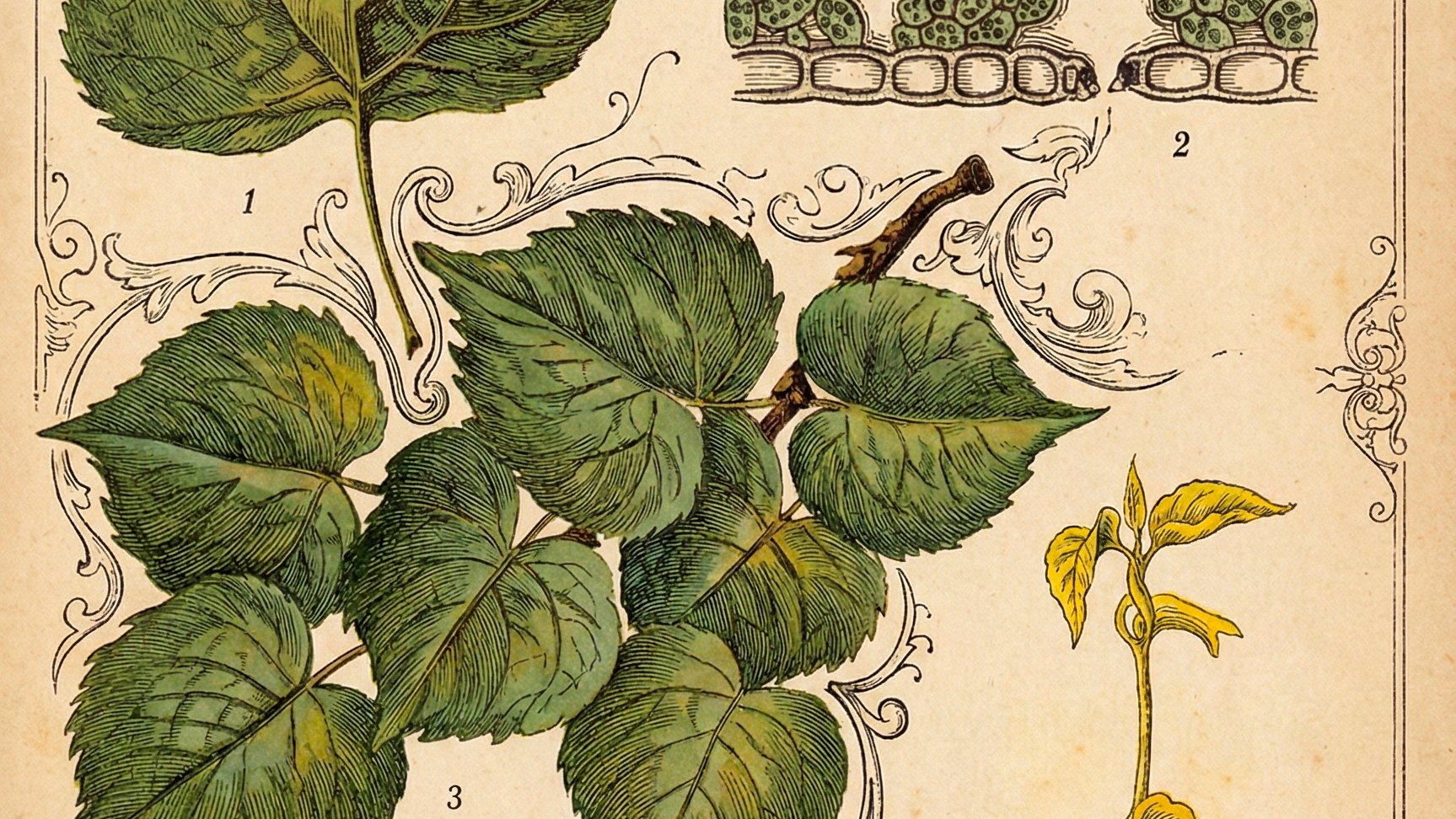 Биология курсы и занятия. Мышление и разум