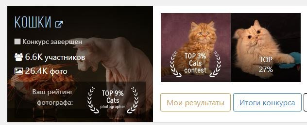 Фотограф-анималист Марина Виноградова