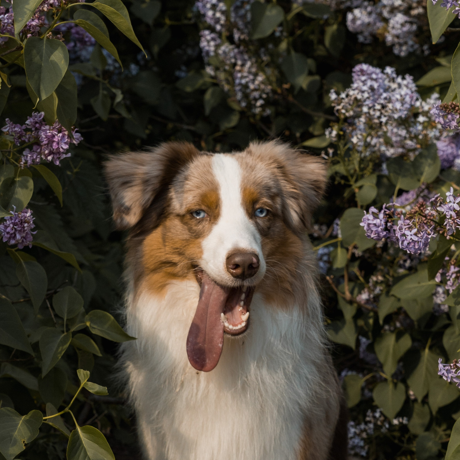 Услуги. Фотограф в Москве Лера Голубенко