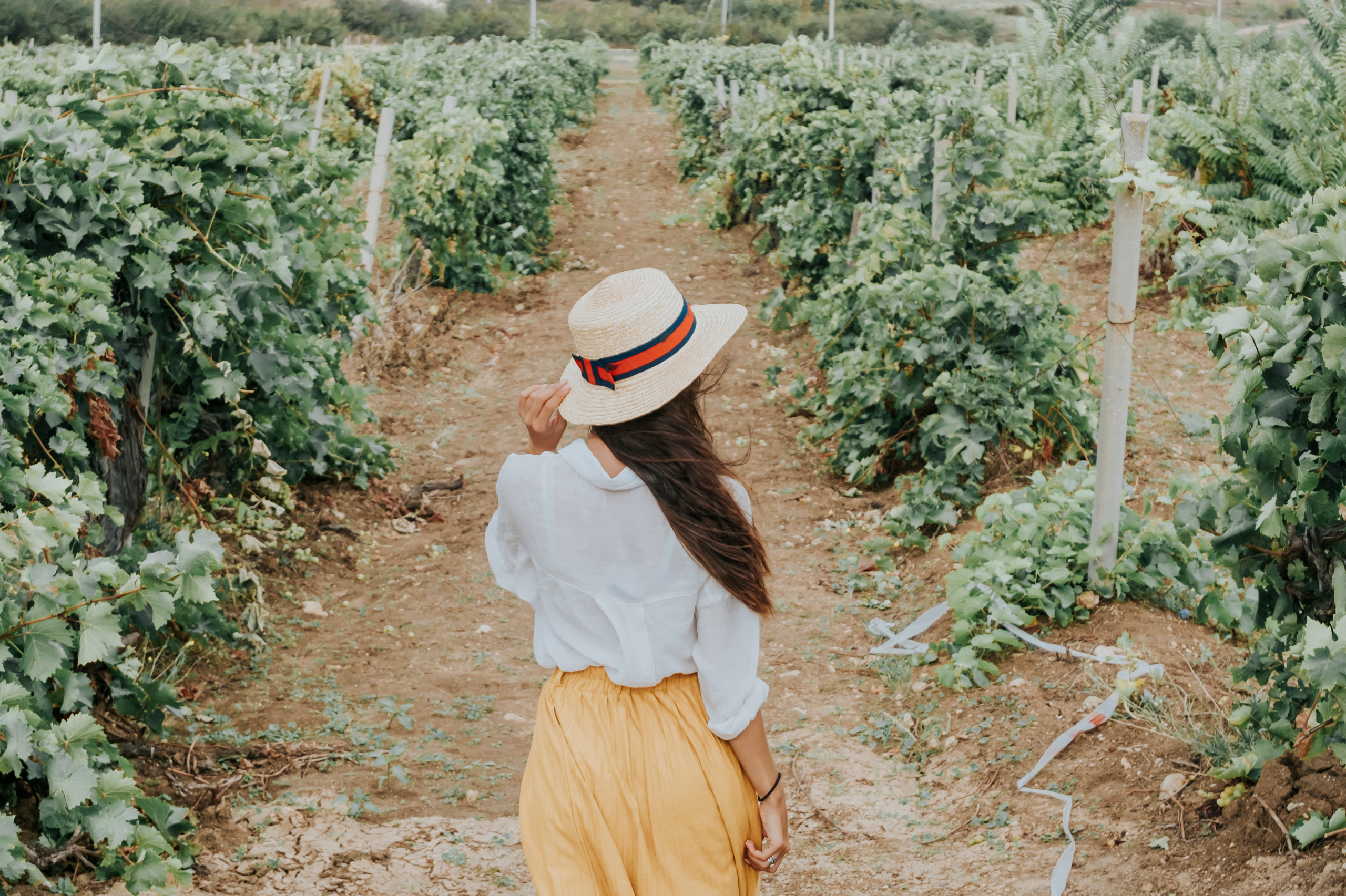 КМВ и Крым (сентябрь 2020)