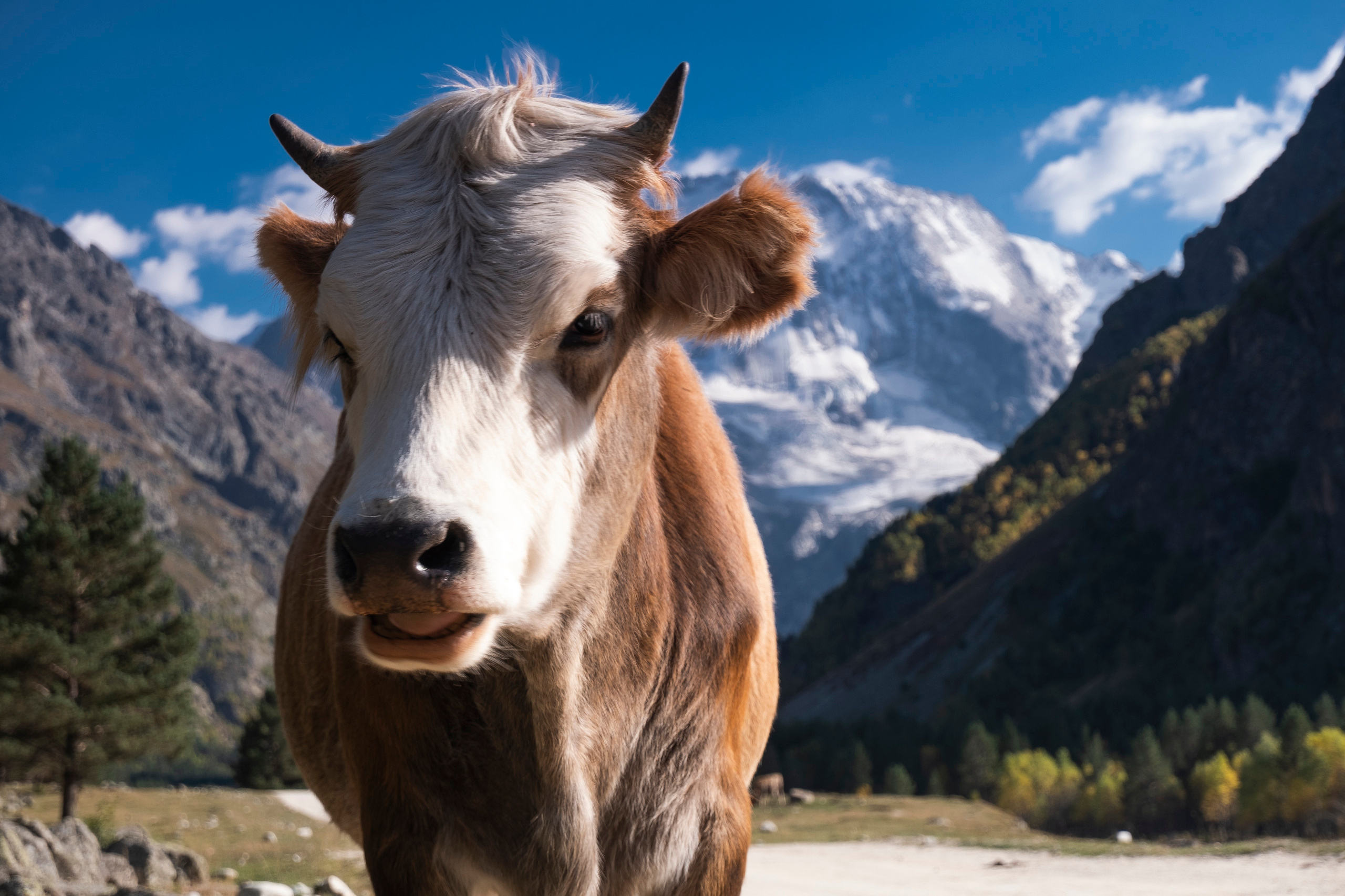 КМВ и Крым (сентябрь 2020)