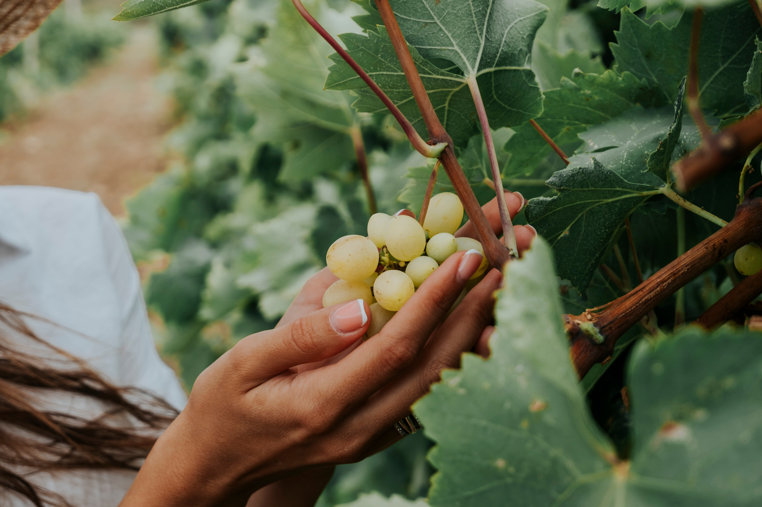 КМВ и Крым (сентябрь 2020)