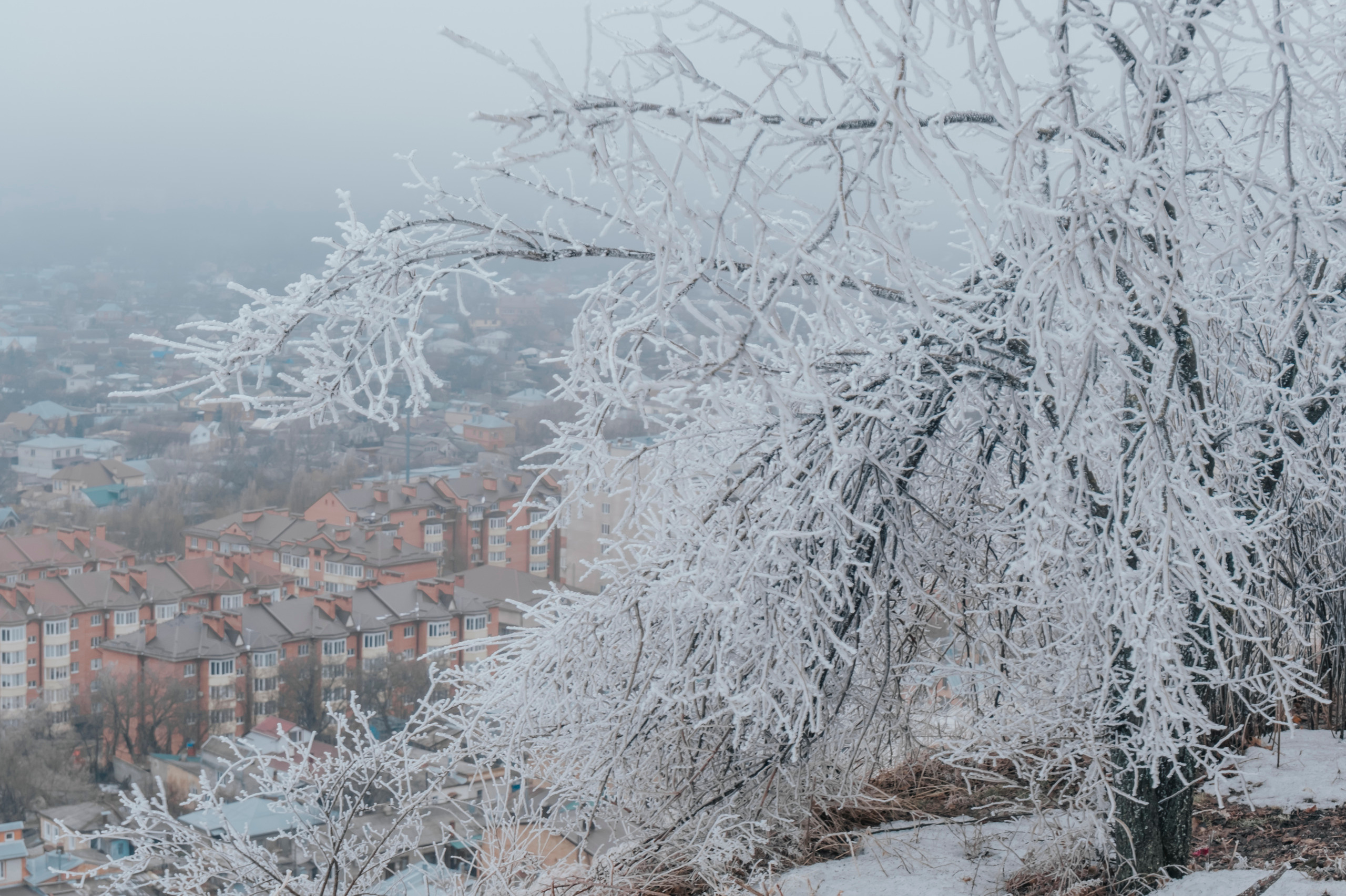 КМВ (январь 2021)