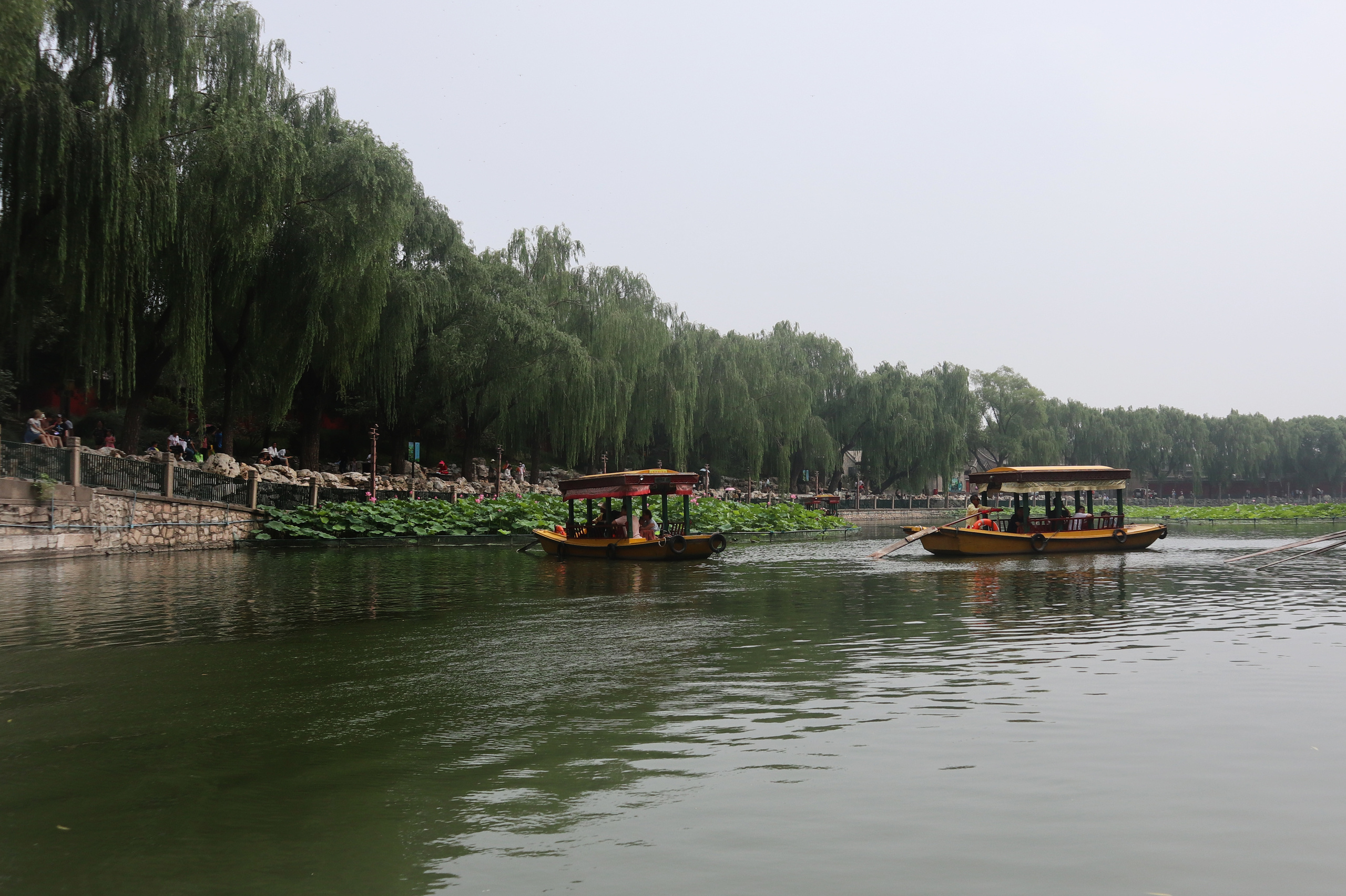 Сезон лотосов в Пекине. Фотограф Ольга Филимонова