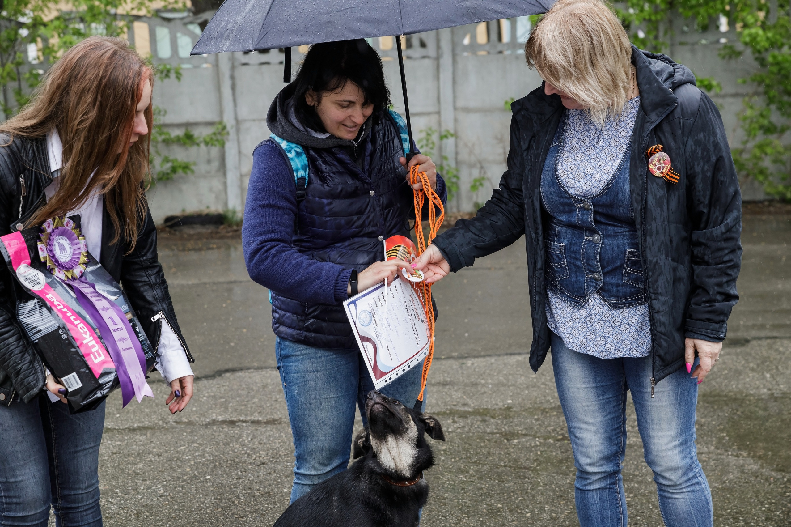 Третья выставка беспородных собак «Для дружбы не важна порода». НРОО КЦ "Собаковод"