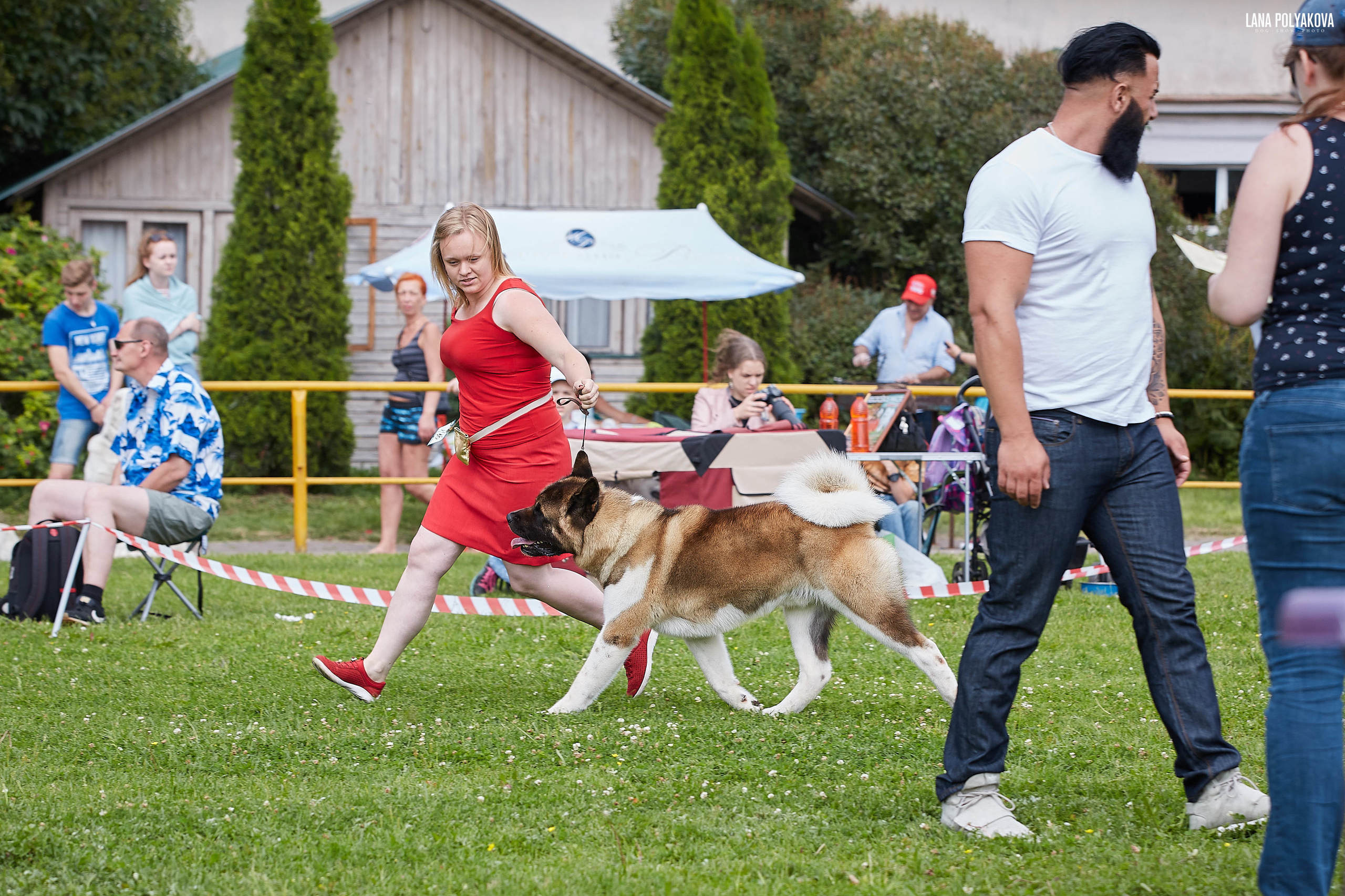 ГАЛС * IMAGINE DRAGON