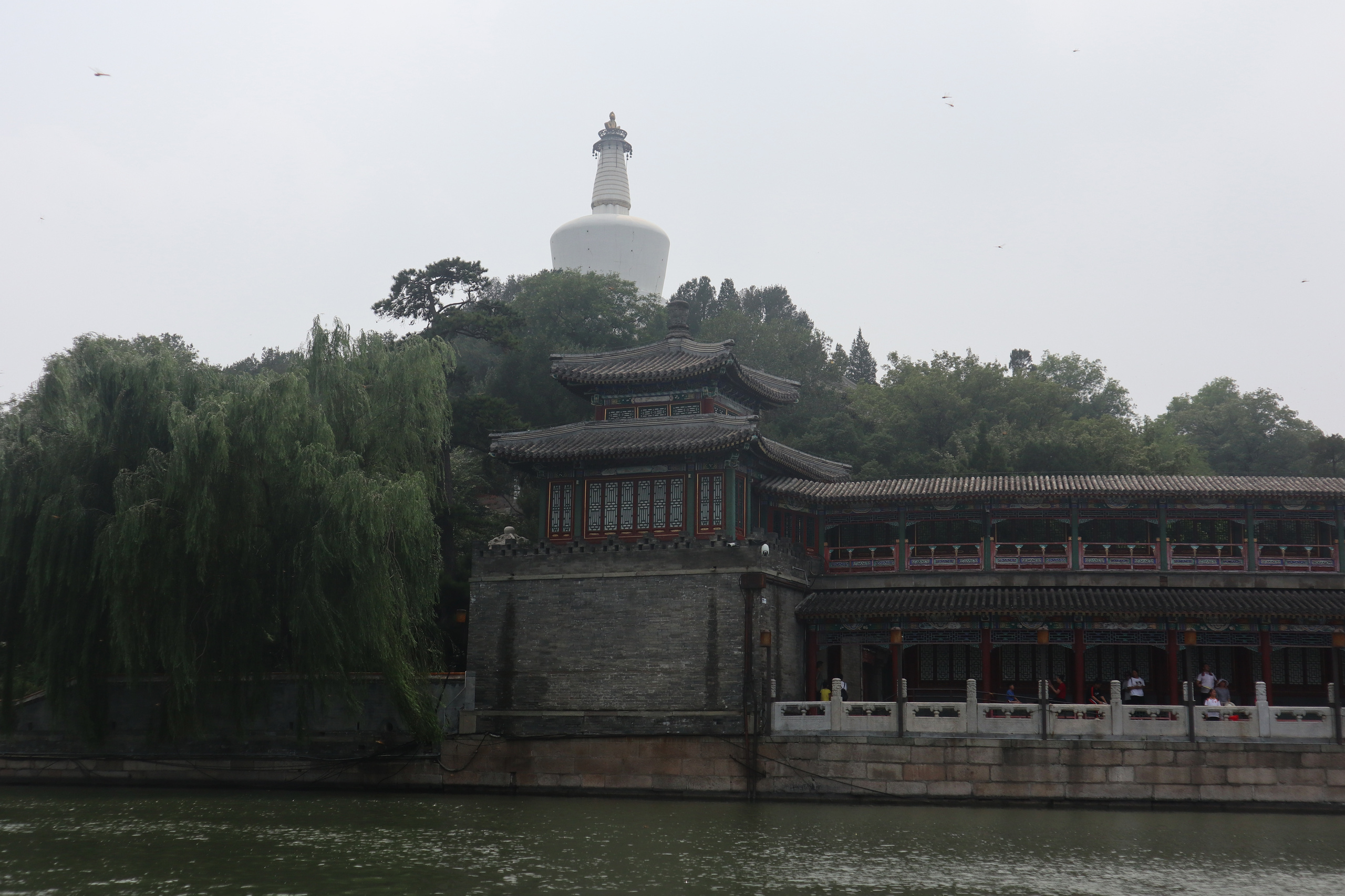 Сезон лотосов в Пекине. Фотограф Ольга Филимонова