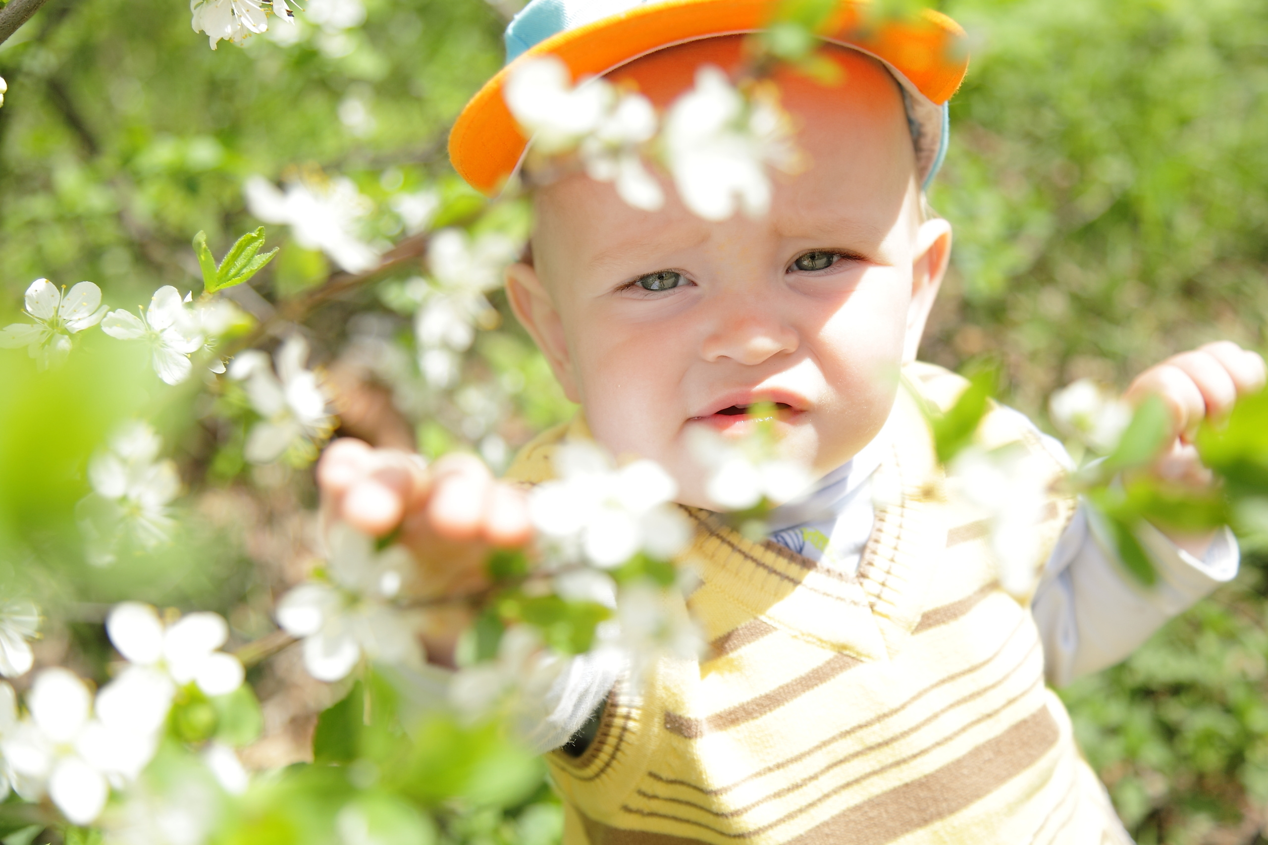 Фотограф на свадьбу. Фотограф и видеограф на любое Ваше мероприятие
