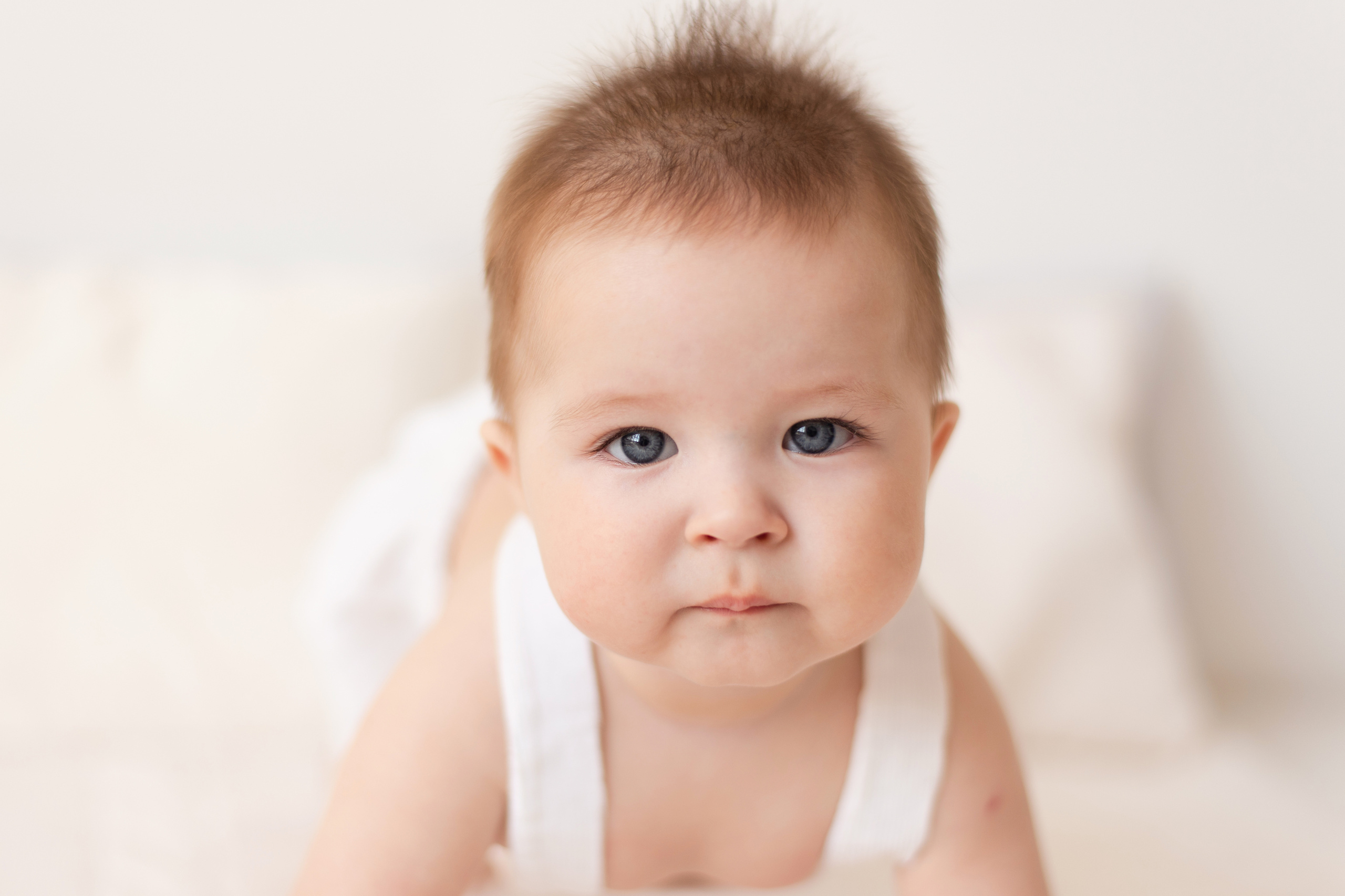 Фотография малыша в 6 месяцев. Фотограф новорожденных , семейный и  детский фотограф в Пскове Иванова