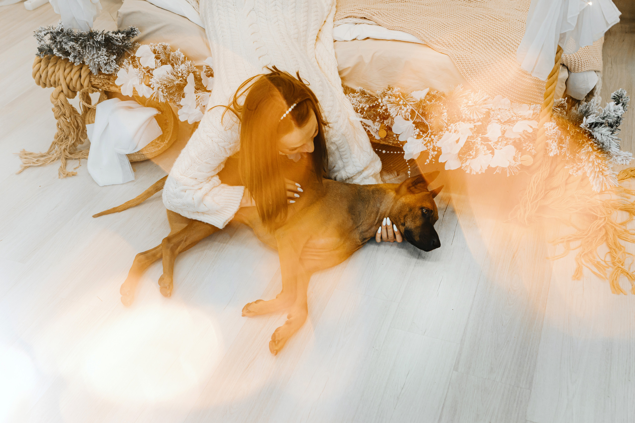 Что такое фотосессия с животным в студии?