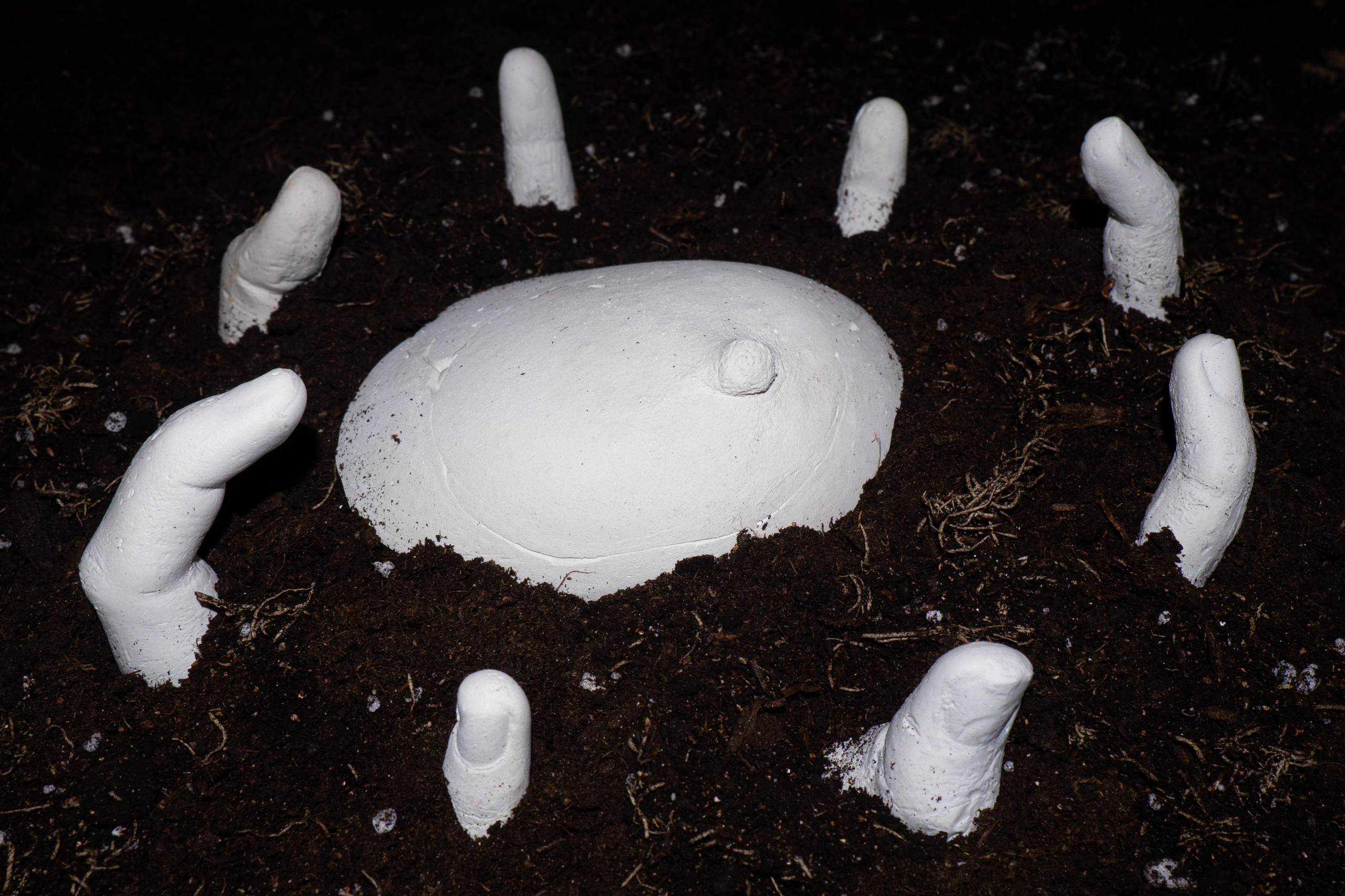 Земля | в процессе. Художница Ирина Гейнц